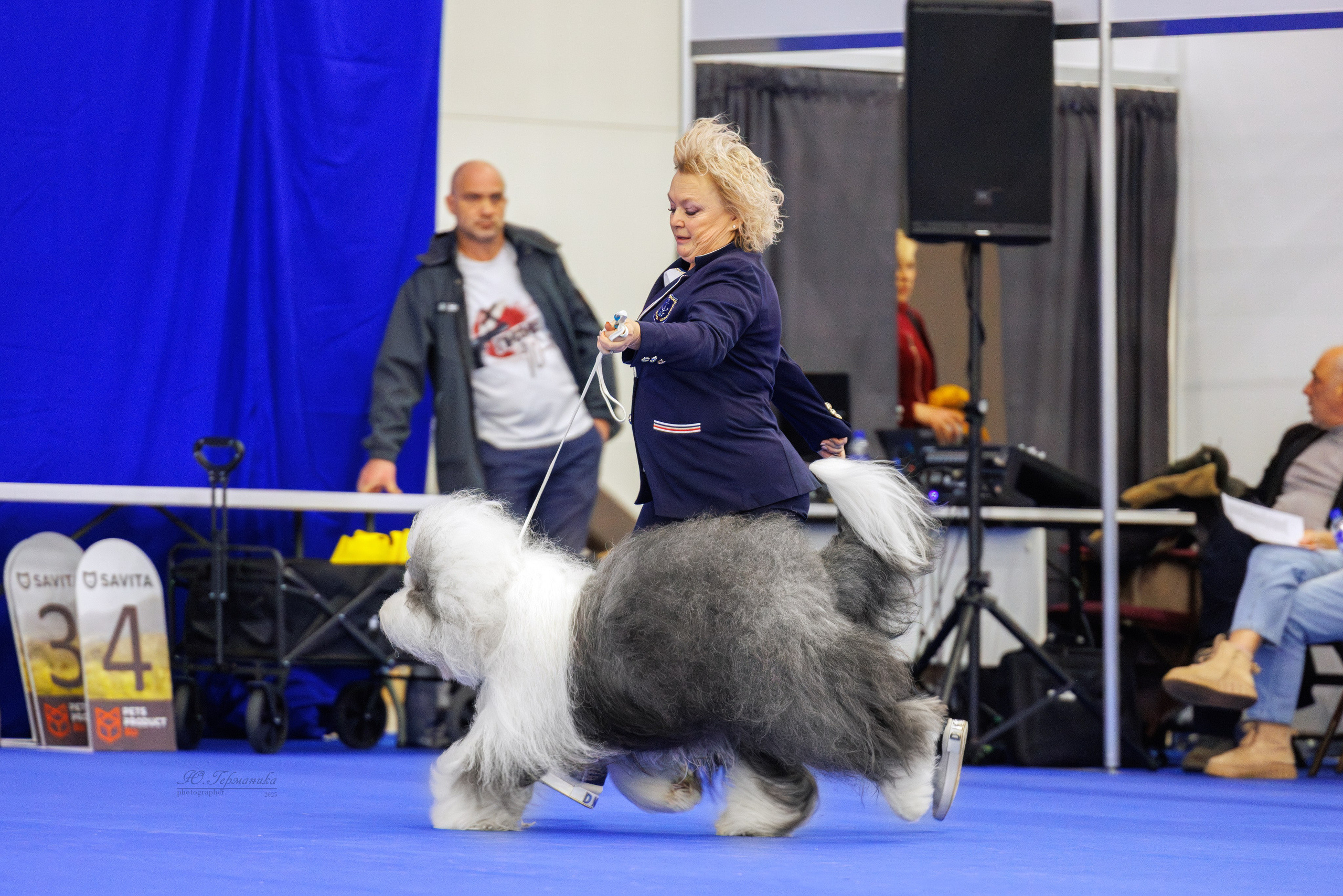 Питер 12-13.12.2025. Фотограф-анималист Юлия Германика