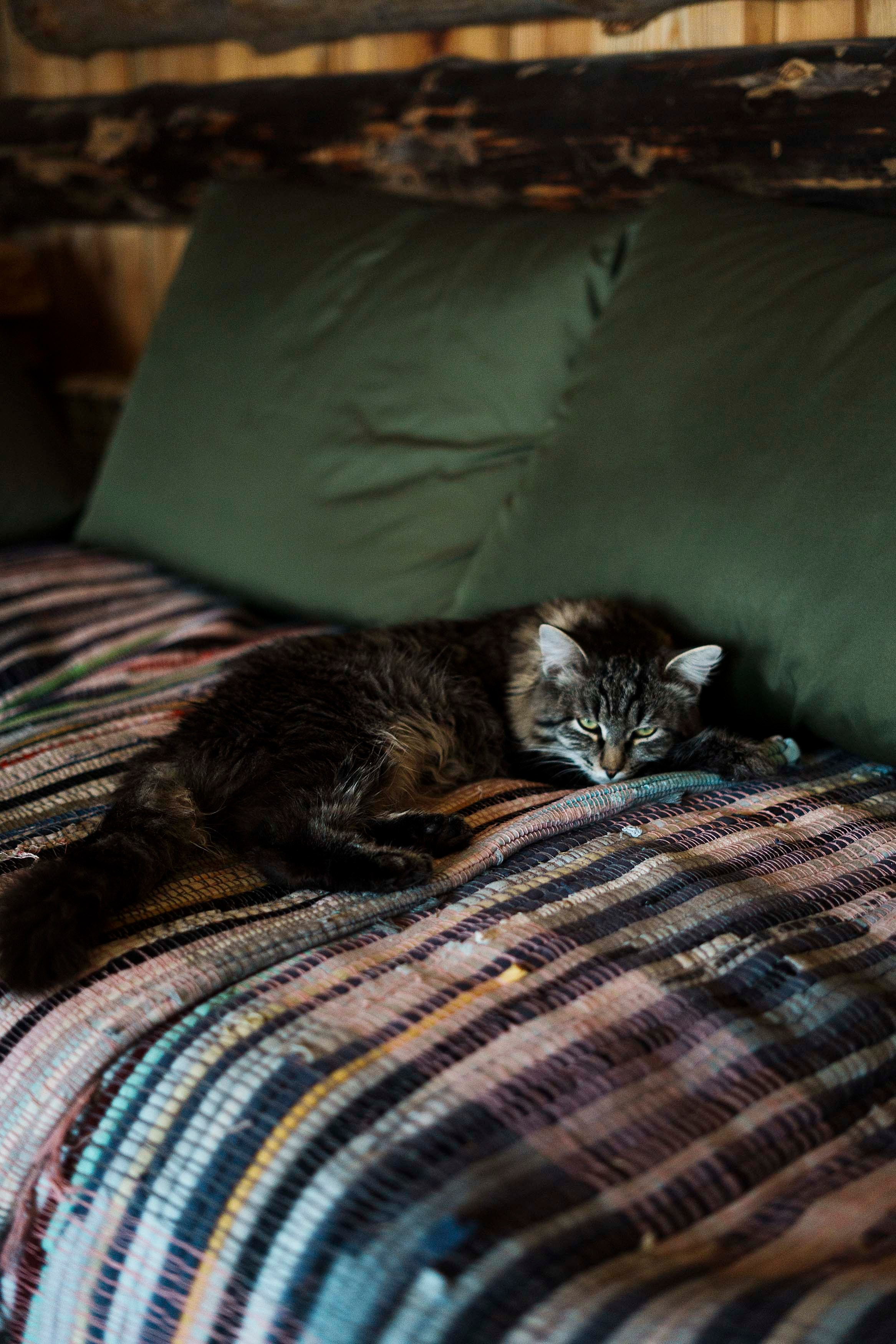 Банный комплекс «Пар-Парок». Фотограф Казань