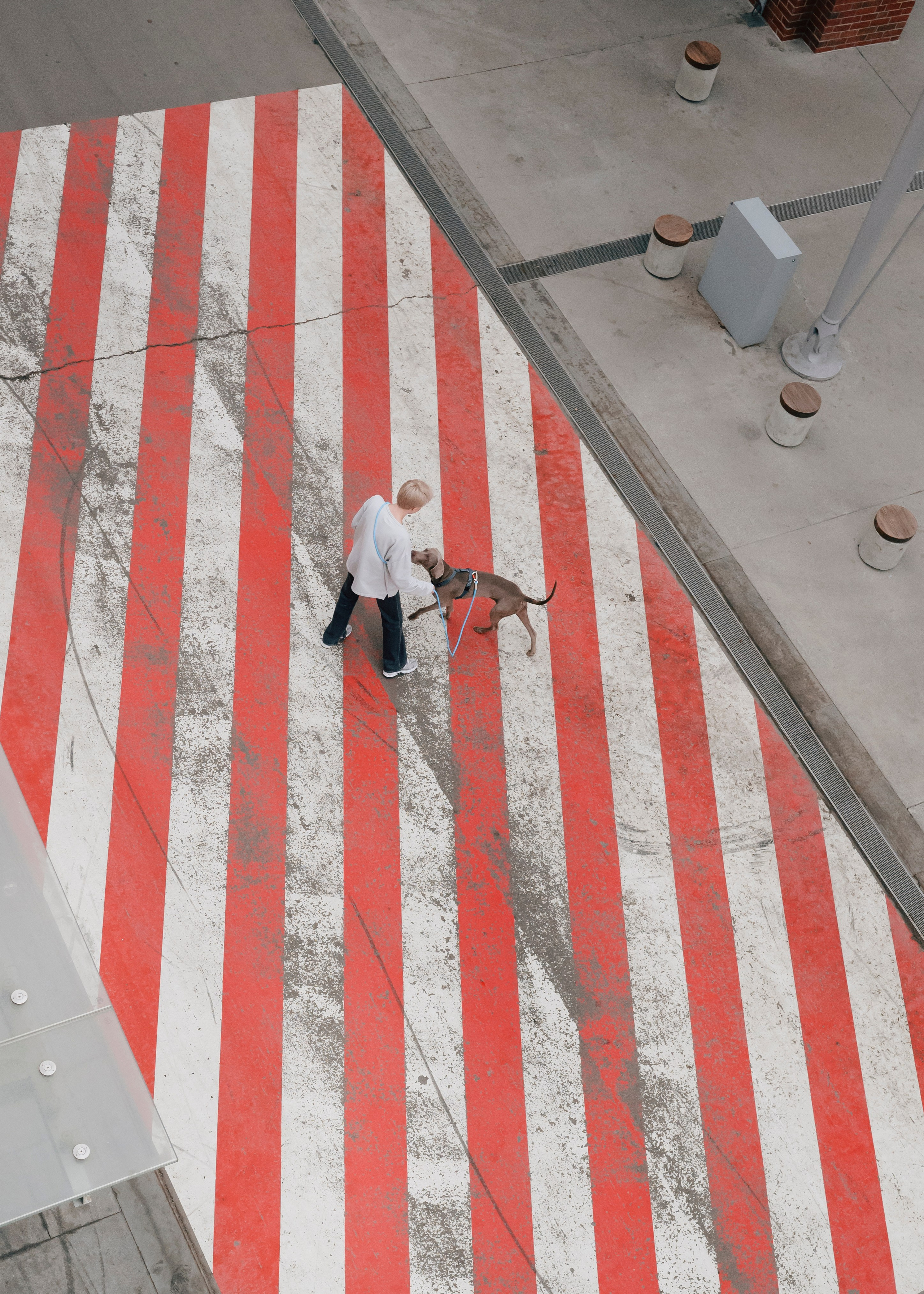 Держись меня. Фотограф- анималист Александра Матвеева