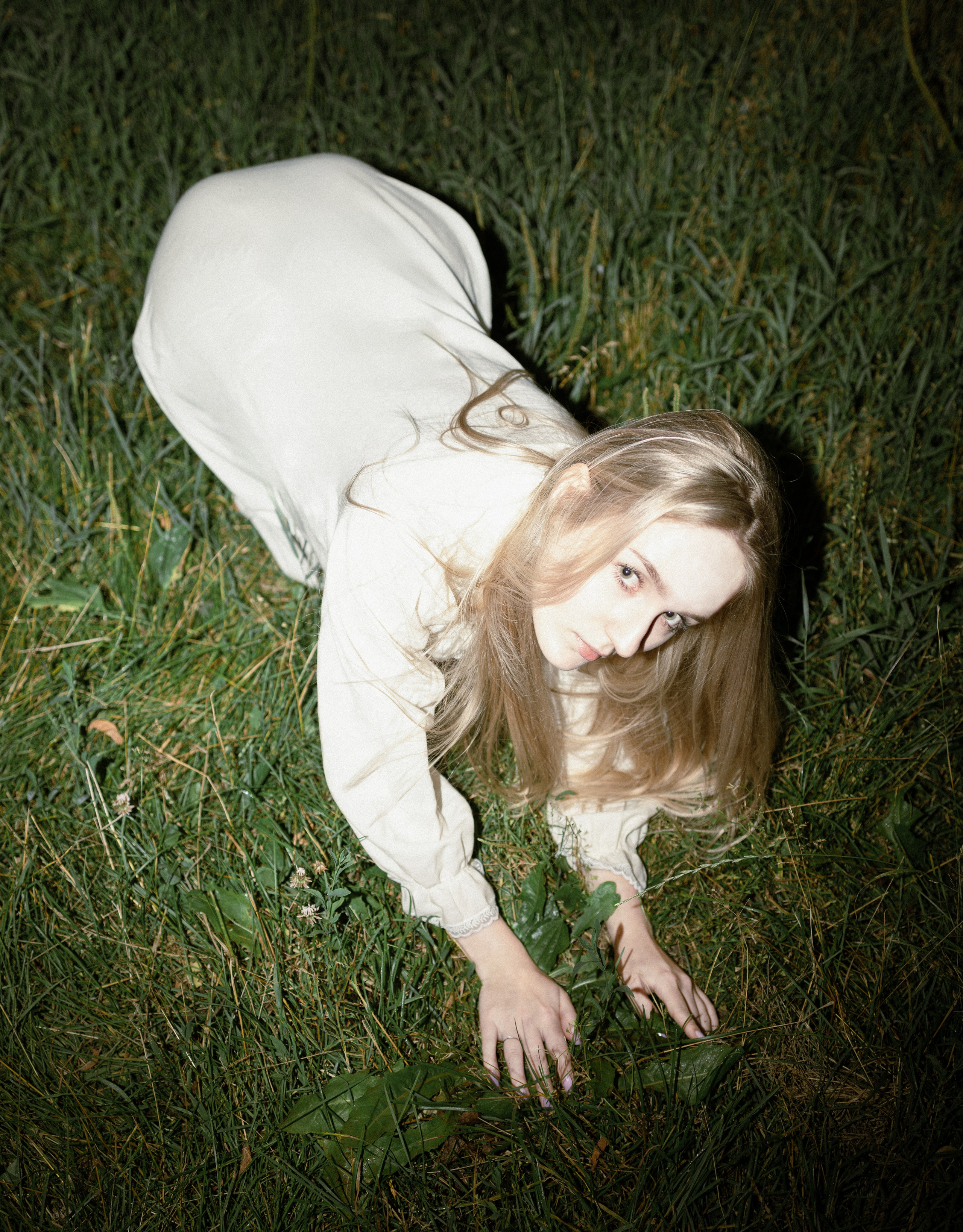 Woodland. Фото-художник