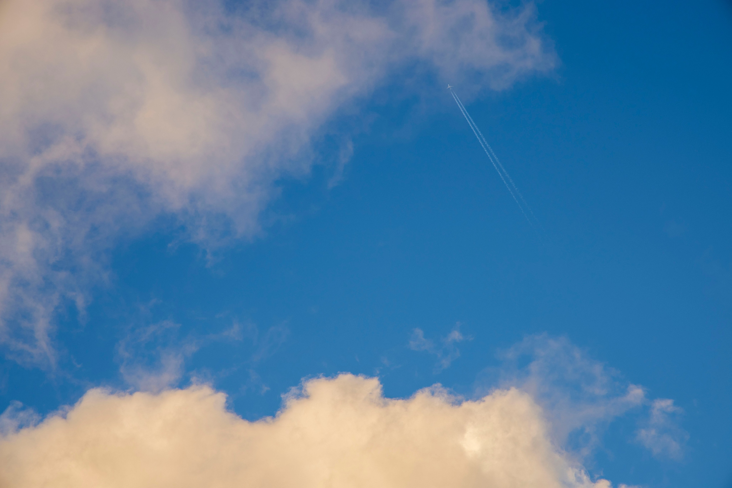 Разности. Портретный и семейный фотограф Санкт-Петербург