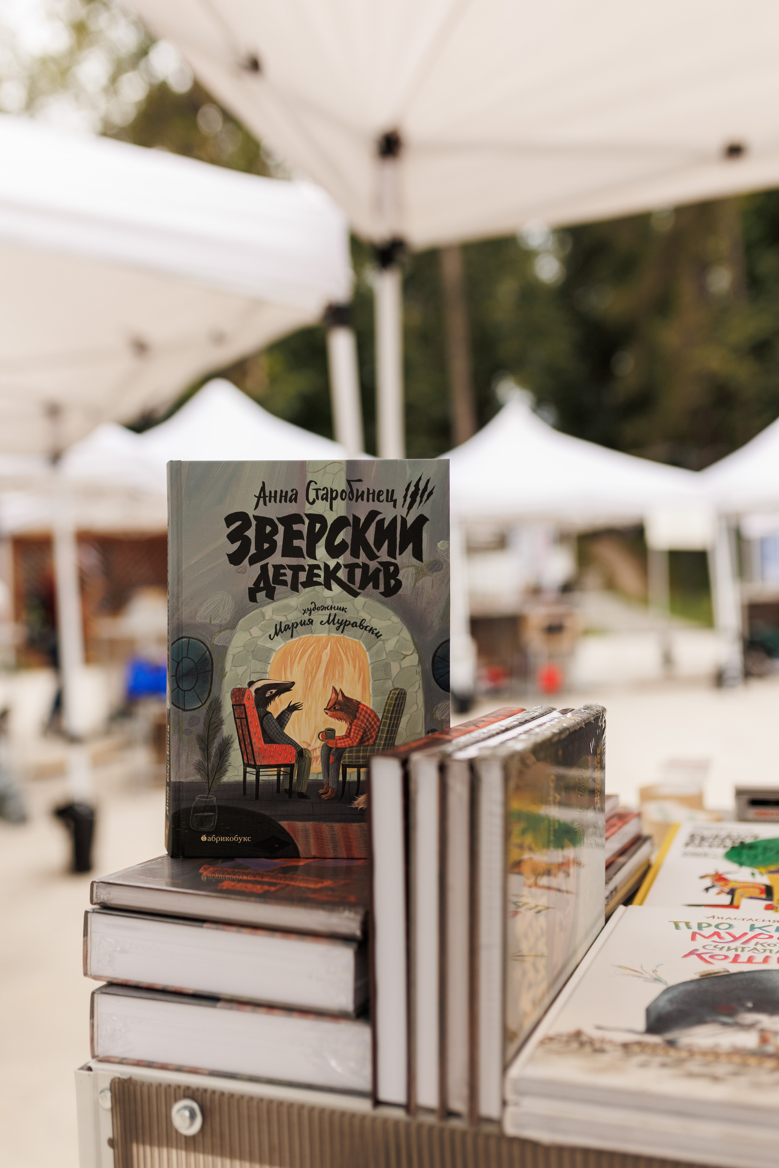 Книжный фестиваль «Смены» в Выксе 2025. Фотограф городских и семейных событий Артем Карпухин