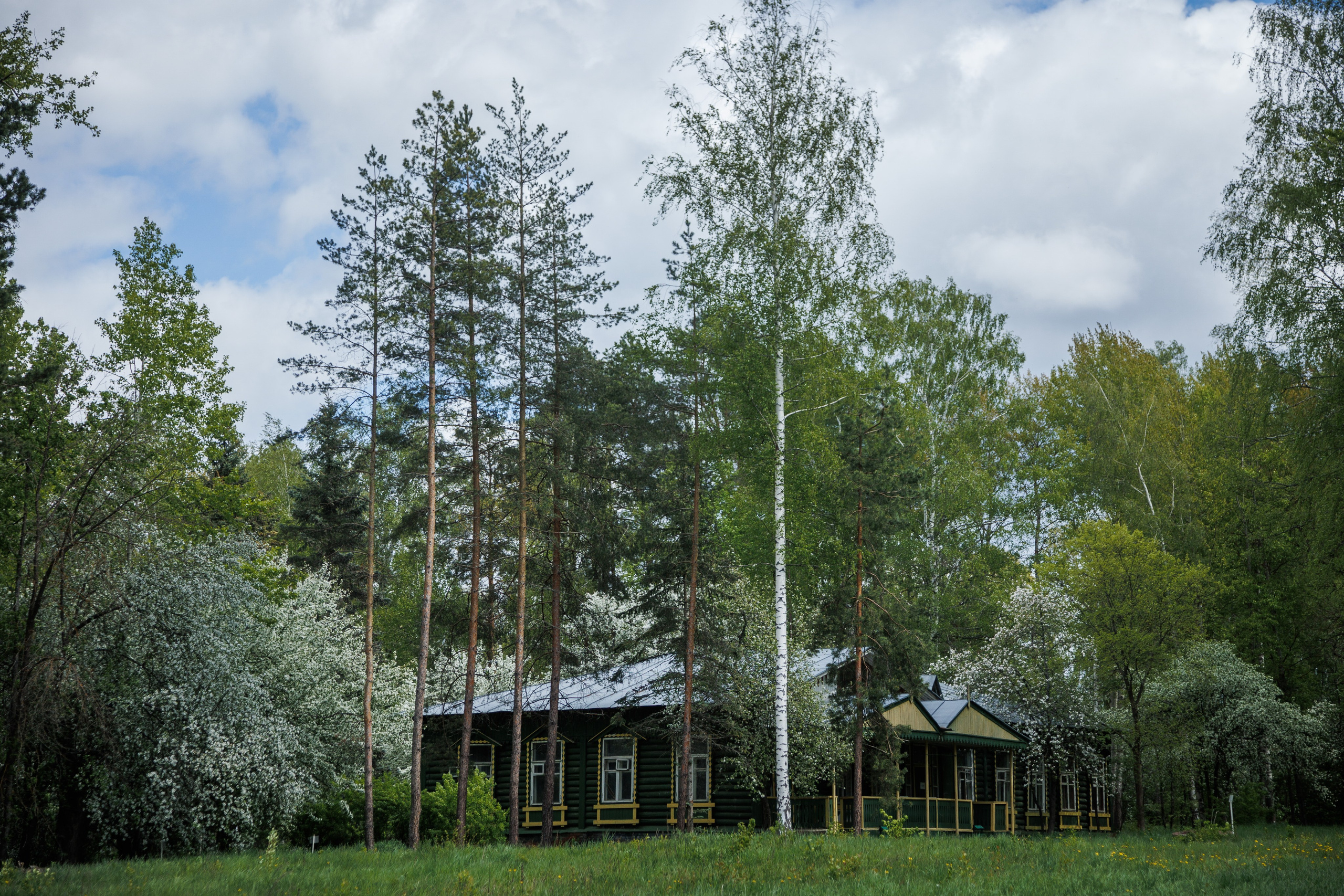 База отдыха «Металлург». Фотограф городских и семейных событий в Нижнем Новгороде Артем Карпухин