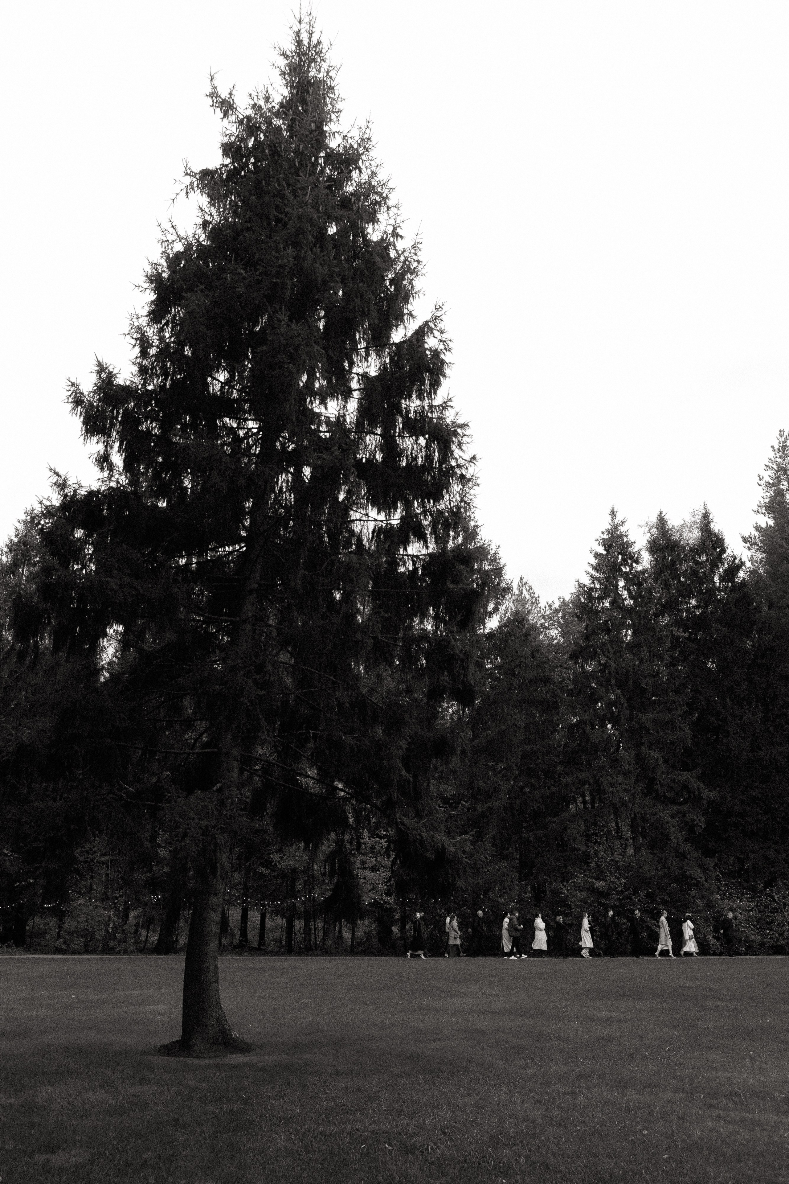 ТЫ — МОЙ ДОМ | L & R. Свадебный и event-фотограф Иван Волнухин