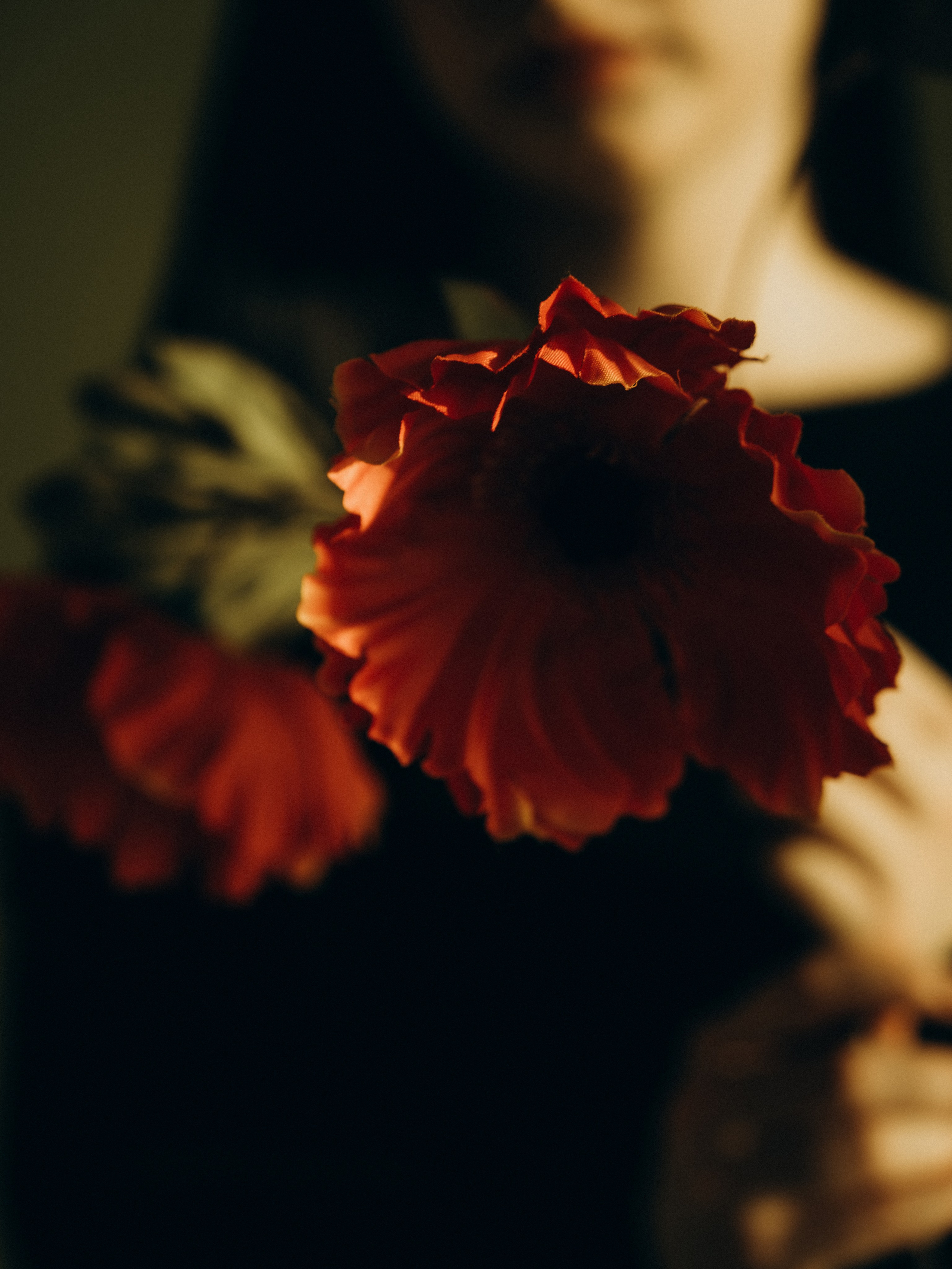 Контент. Фотограф на Камчатке Воронина Ульяна