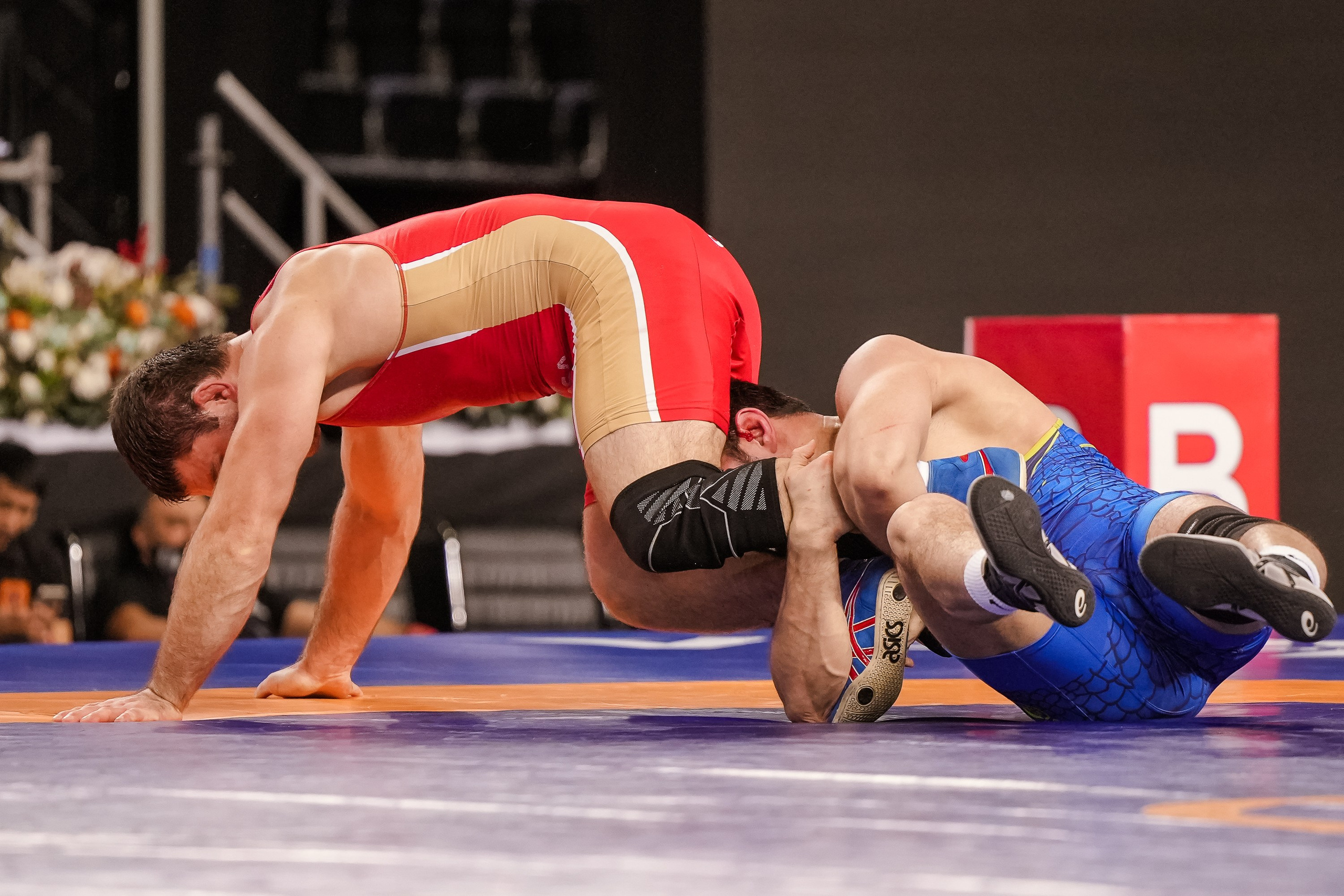 Кубок Ивана Ярыгина 2024 фото / Ivan Yarygin Cup 2024 photos. Фотограф Анна Герман. Красноярск