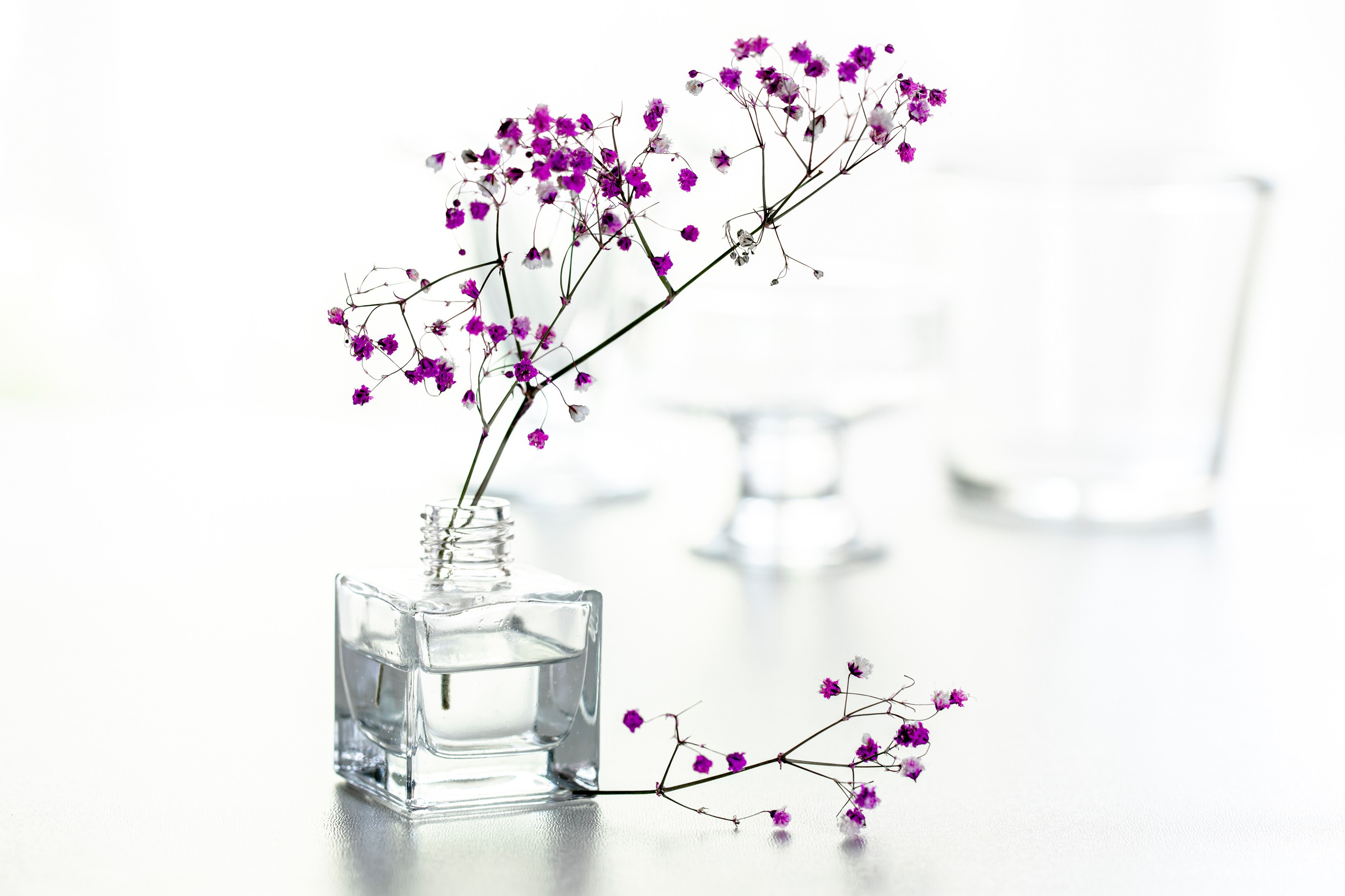 10 тем для вашего следующего натюрморта. Свадьбы, портретная, предметная съемка. Фотограф Александр К