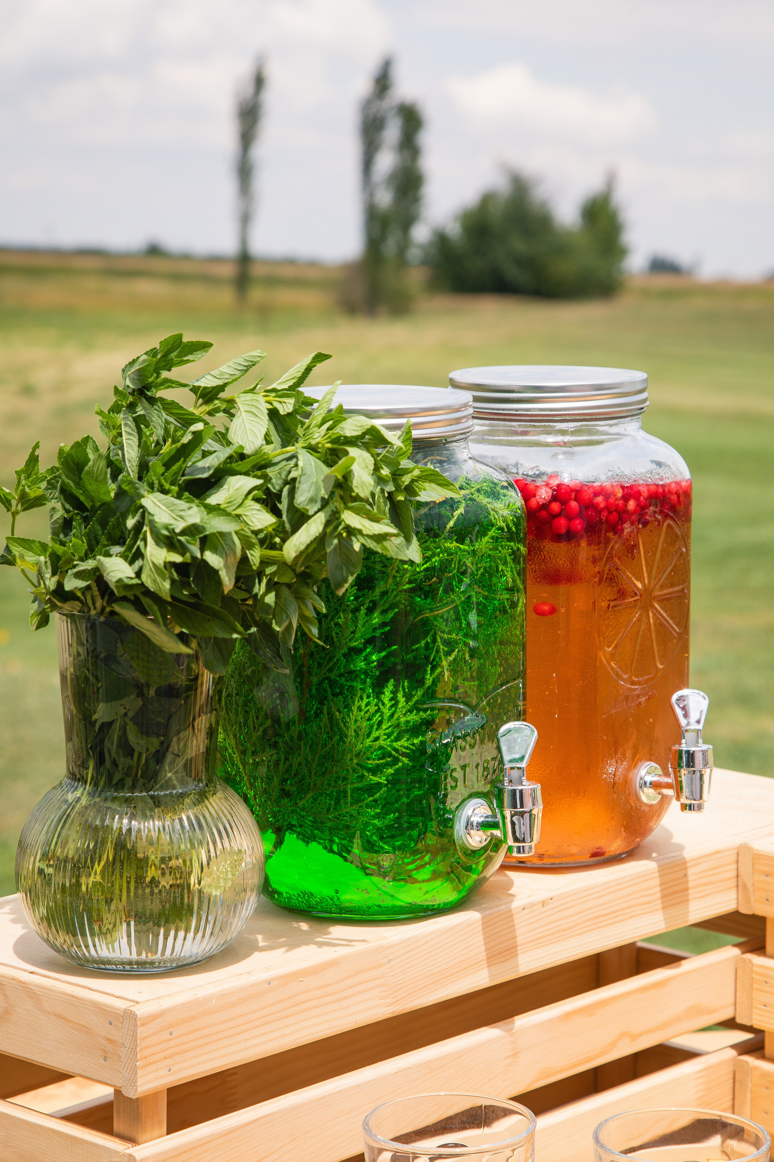 Репортаж праздников. Анна Рышкевич