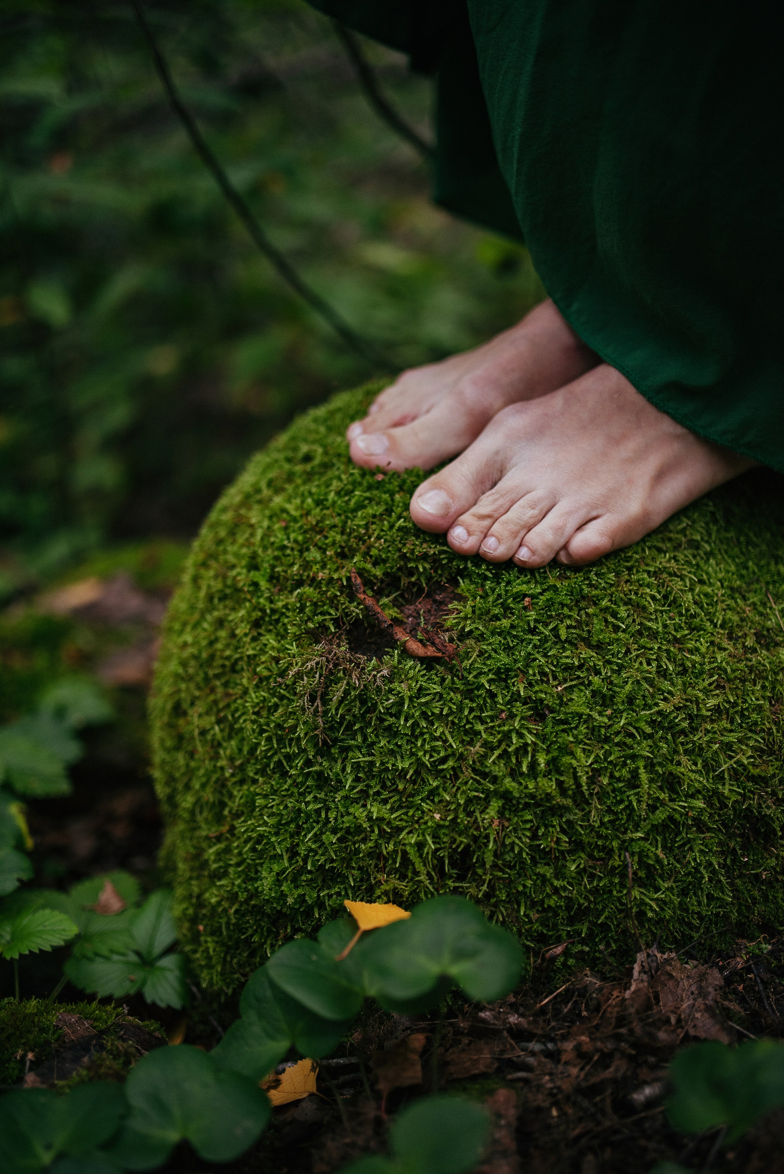 Лес. Семейный фотограф СПб