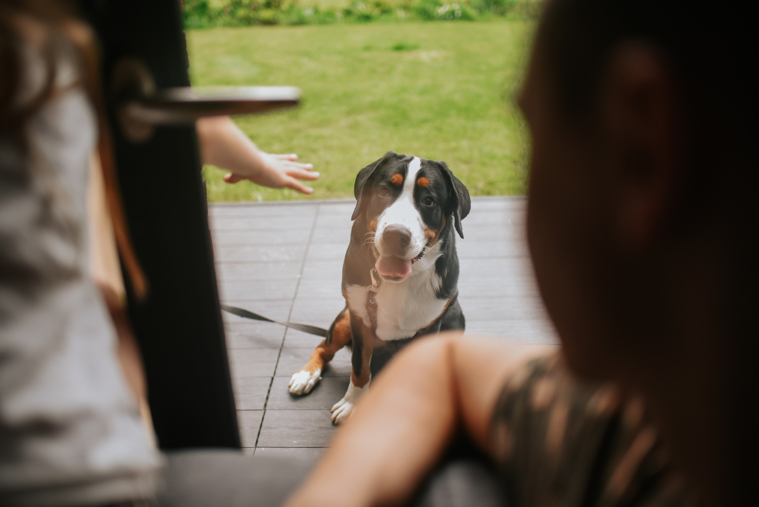 Многодетство. Детский и семейный фотограф в Новосибирске Саша Дорошенко