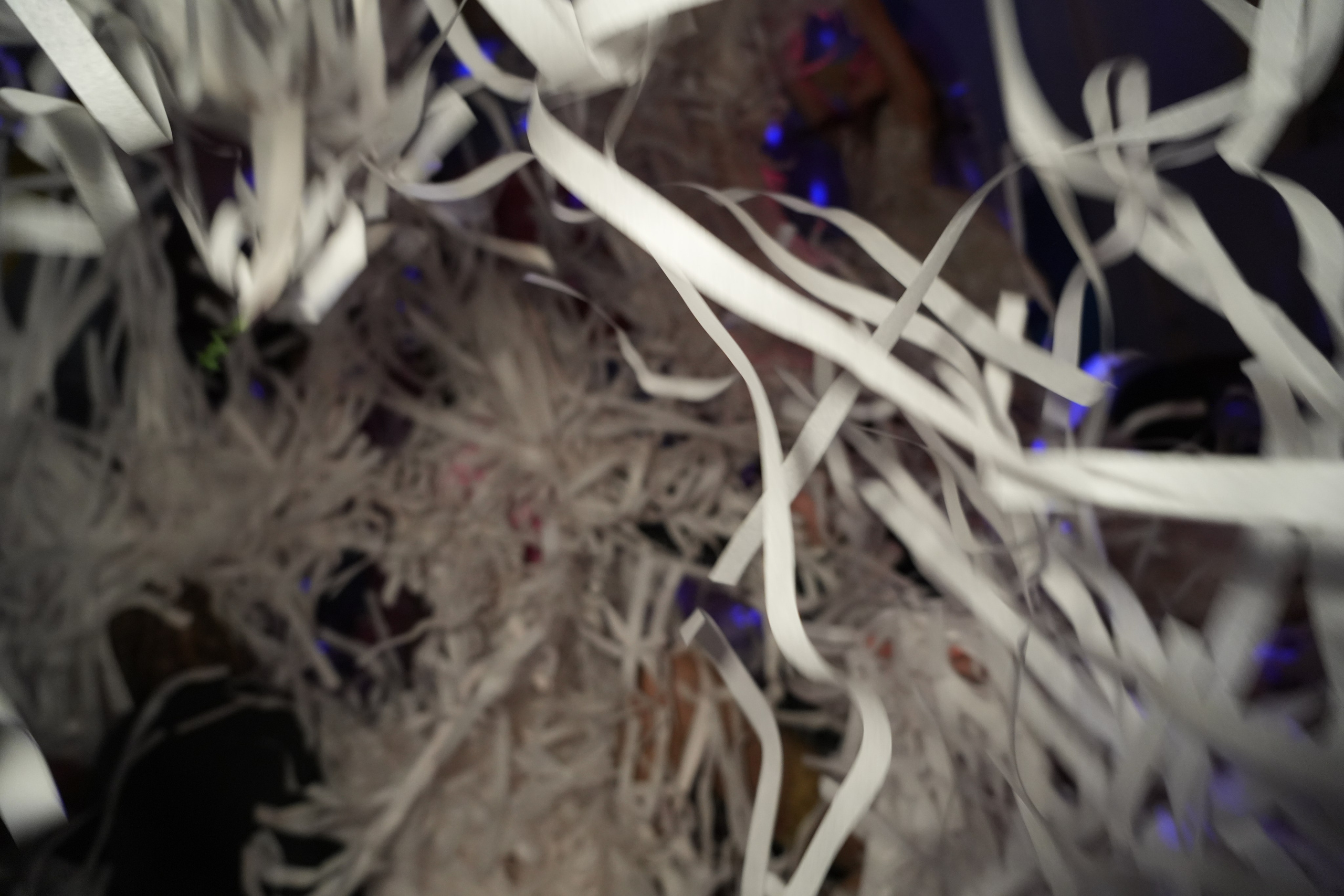 Детский День Рождения. Видеограф и Фотограф в Москве