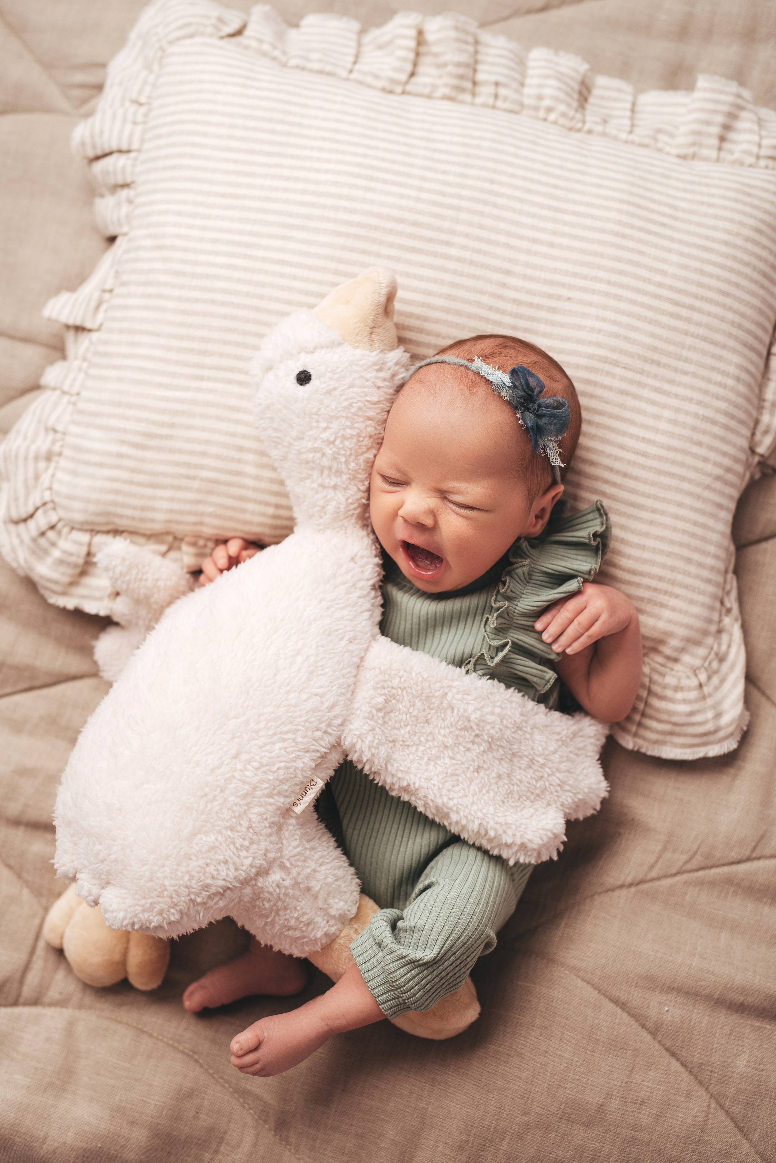 Елизавета и Ксения. Фотограф новорождённых и семейный фотограф в Иваново Любовь Капранова