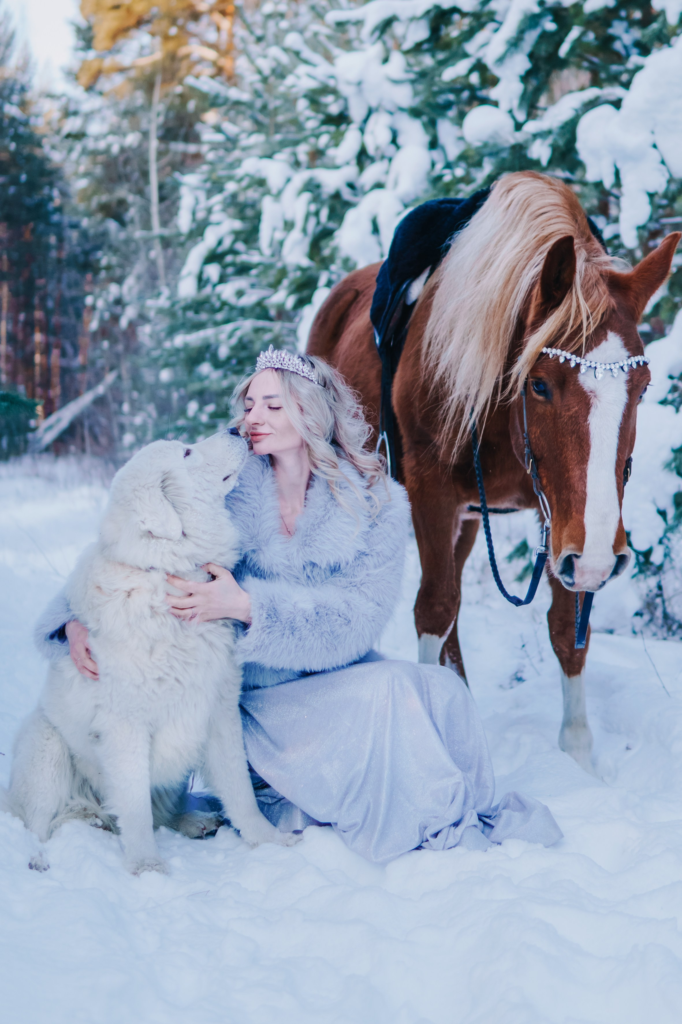 Life with horse. Saamill