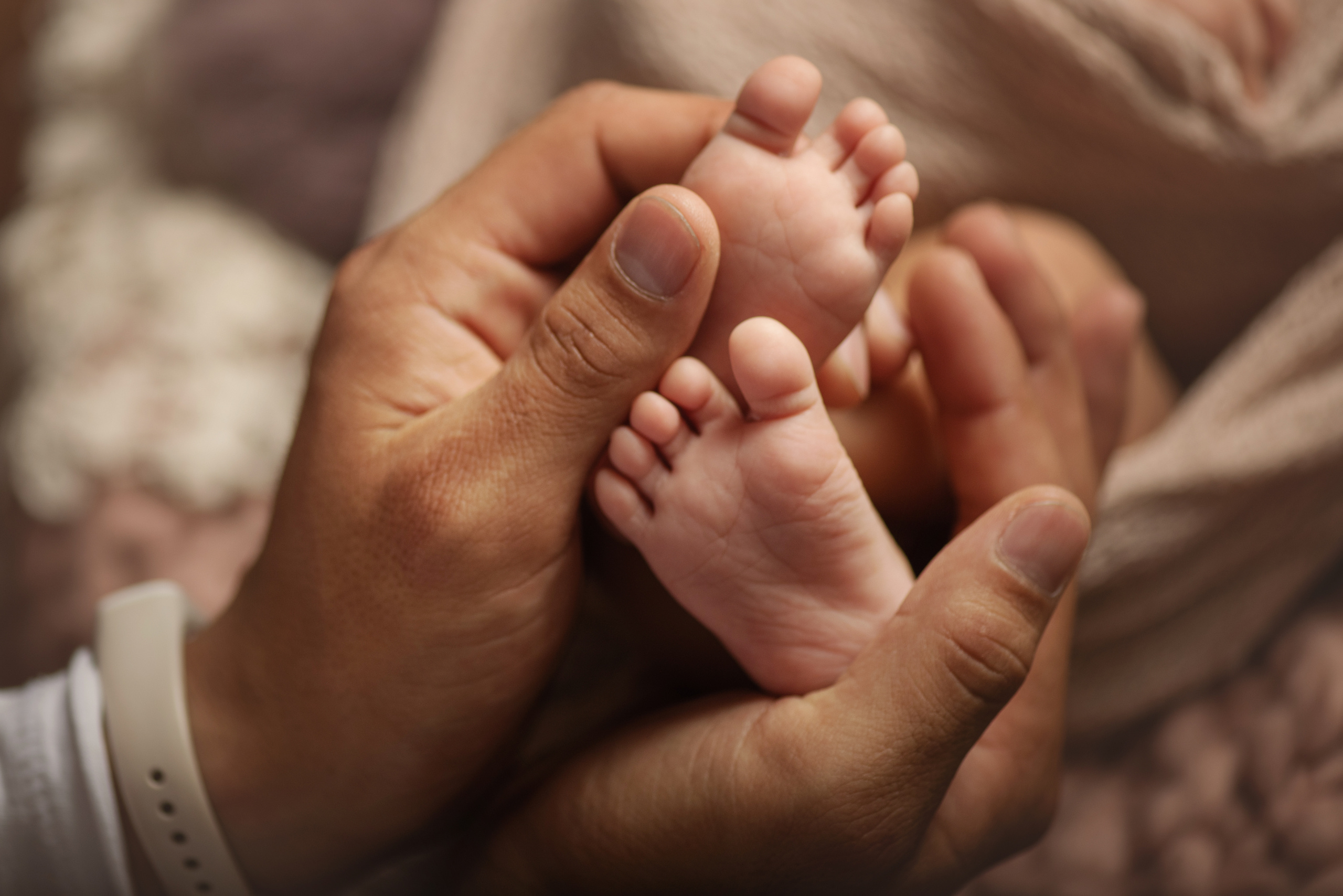 Малыши до года. Фотограф Новорожденных во Владивостоке Ольга Галаницкая