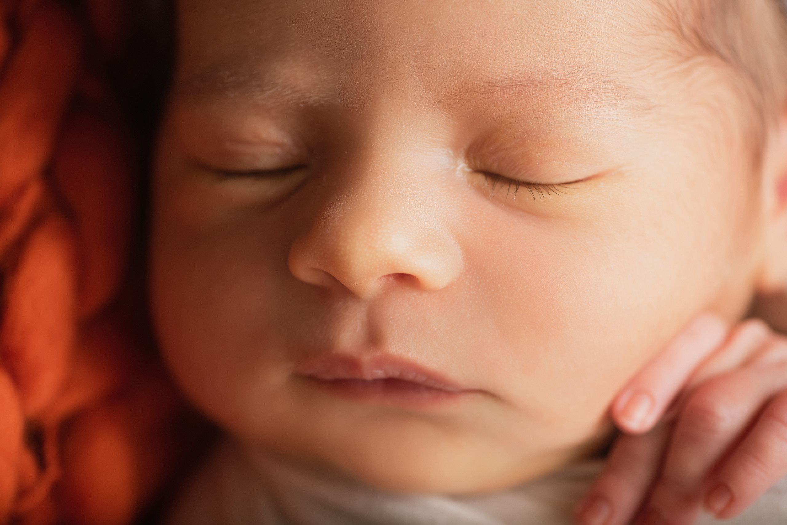 Макро. Фотограф Новорожденных во Владивостоке Ольга Галаницкая