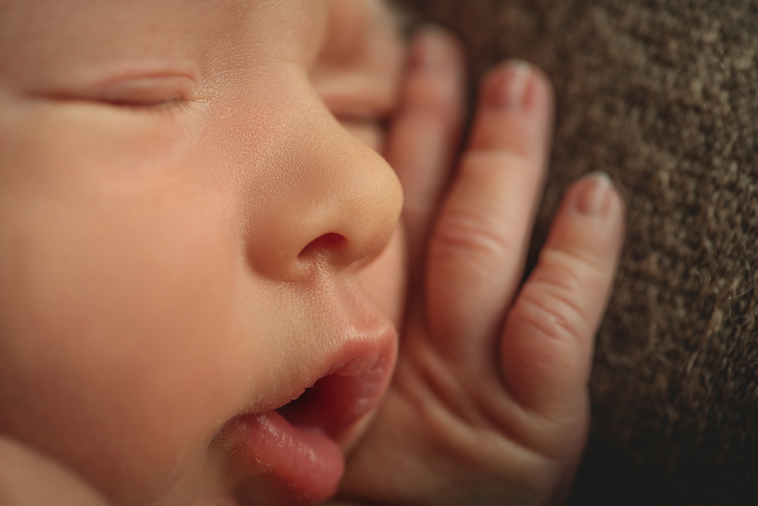 Макро. Фотограф Новорожденных во Владивостоке Ольга Галаницкая