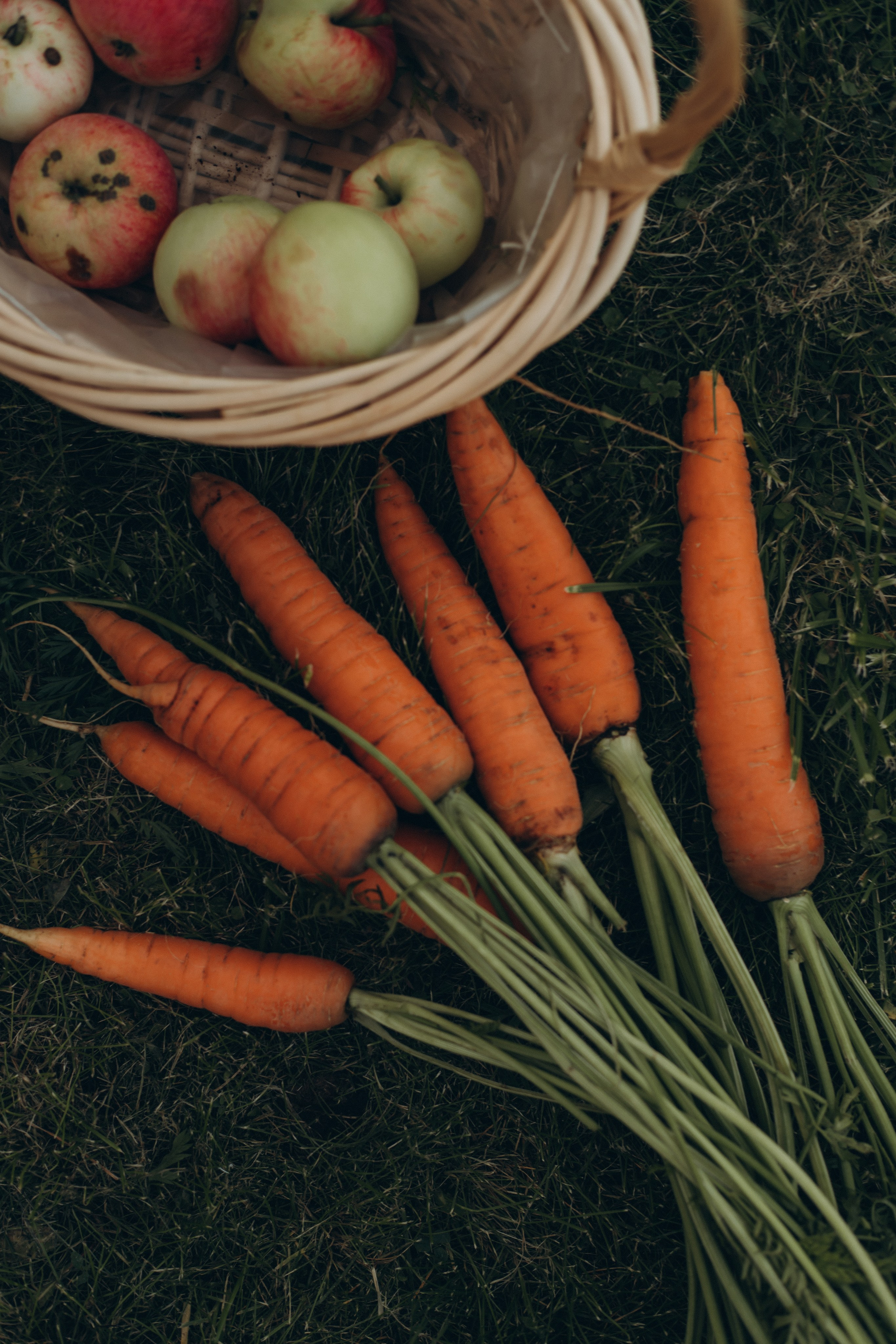 Морковная история 🥕🧡. Услуги
