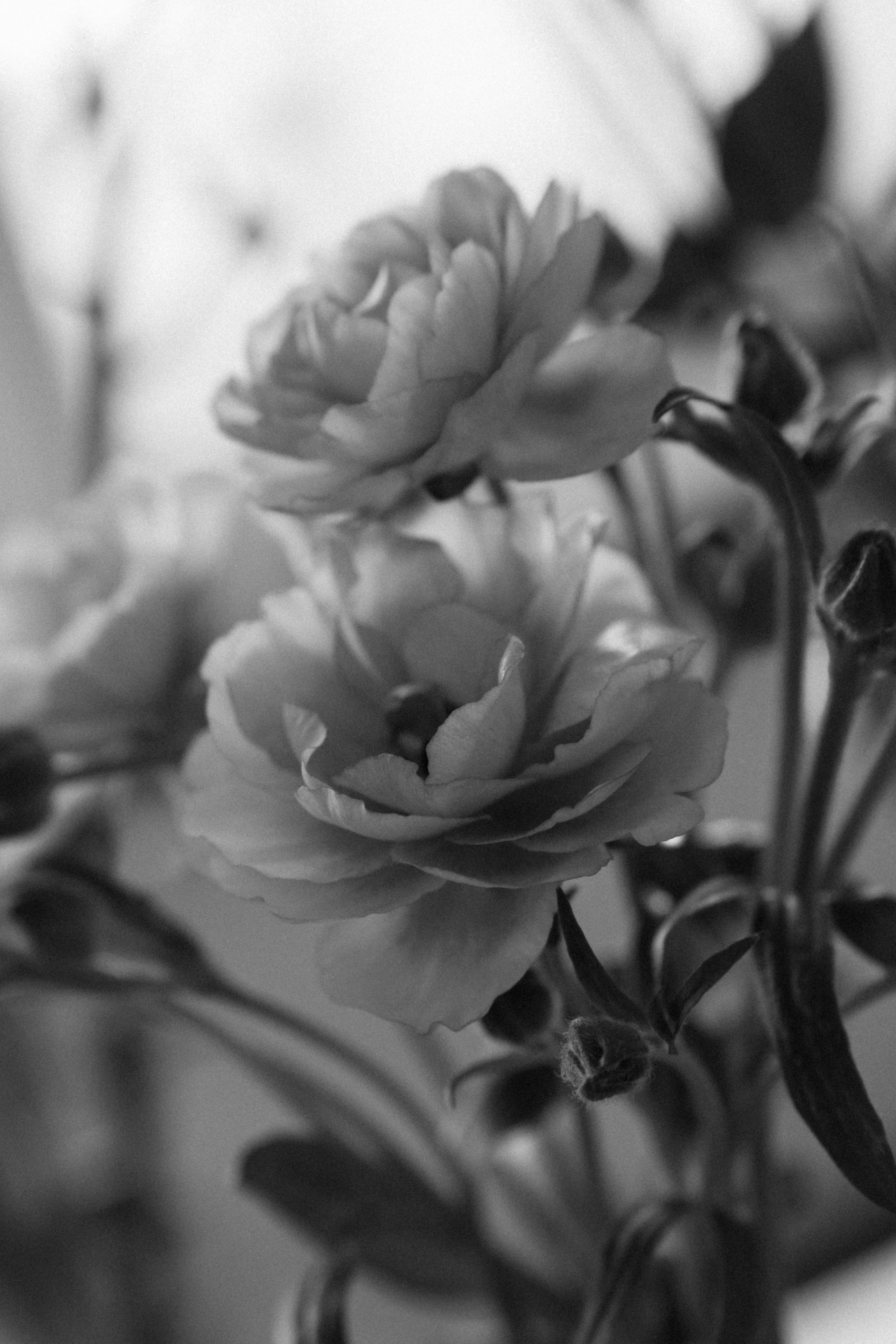 Так начинается ваш день. Семейный и свадебный фотограф в Красногорске Анастасия Тихонова