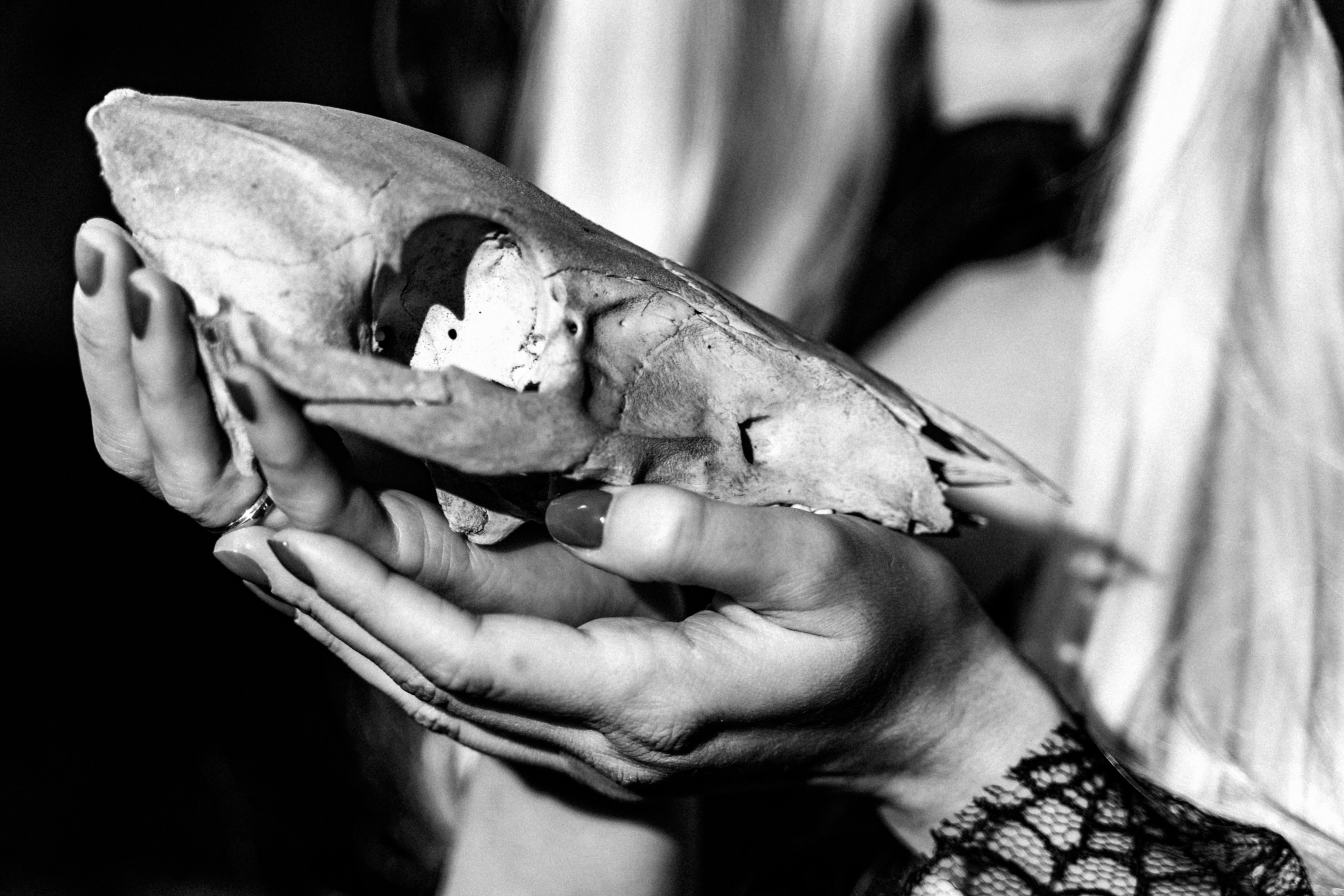 Корпоратив Helloween. Фотограф Новополоцк, Полоцк, Минск, РБ, Зимаков Егор