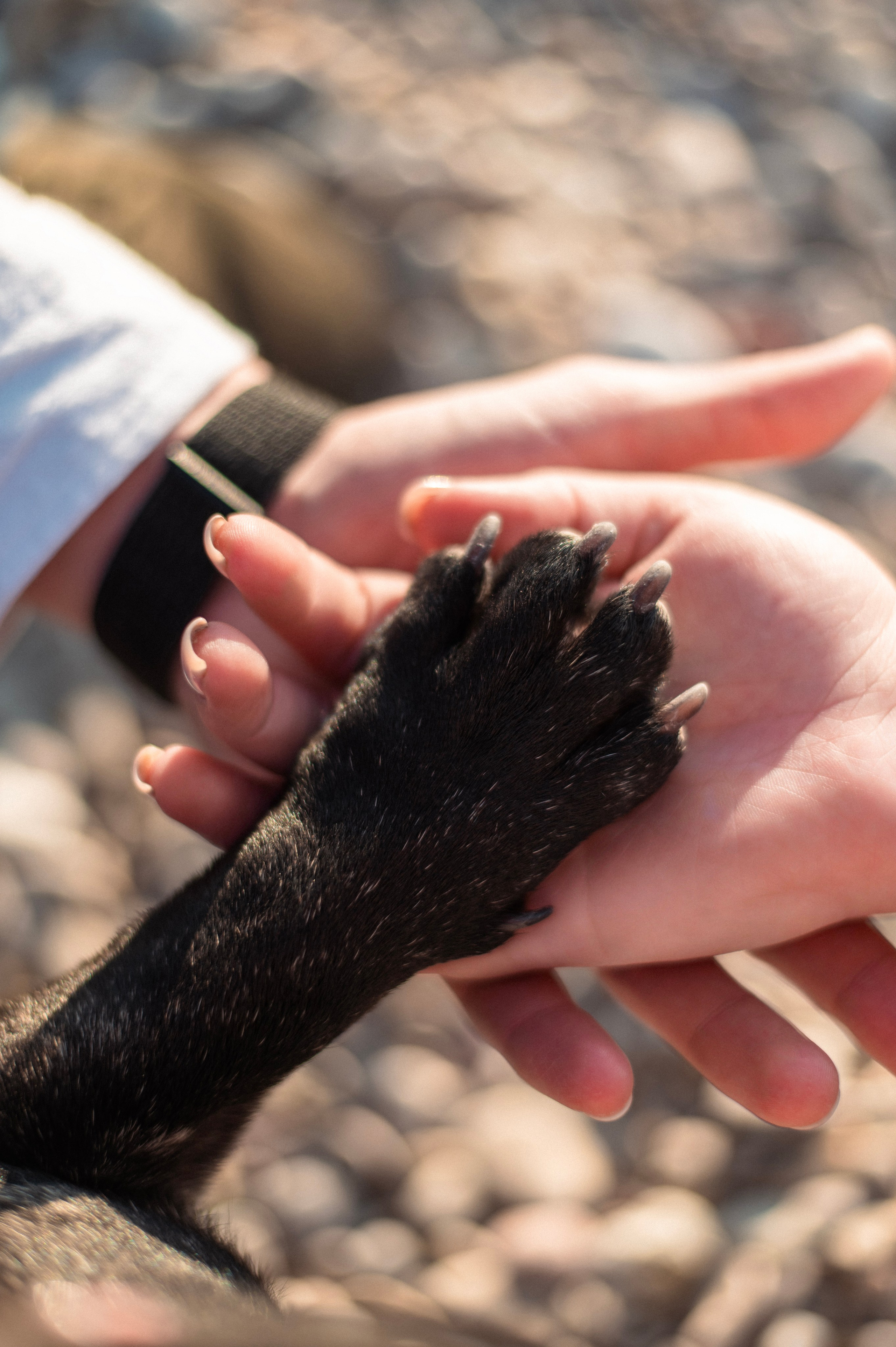 Илья, Вероника и Дема. Фотограф в Севастополе — Ольга Максименко