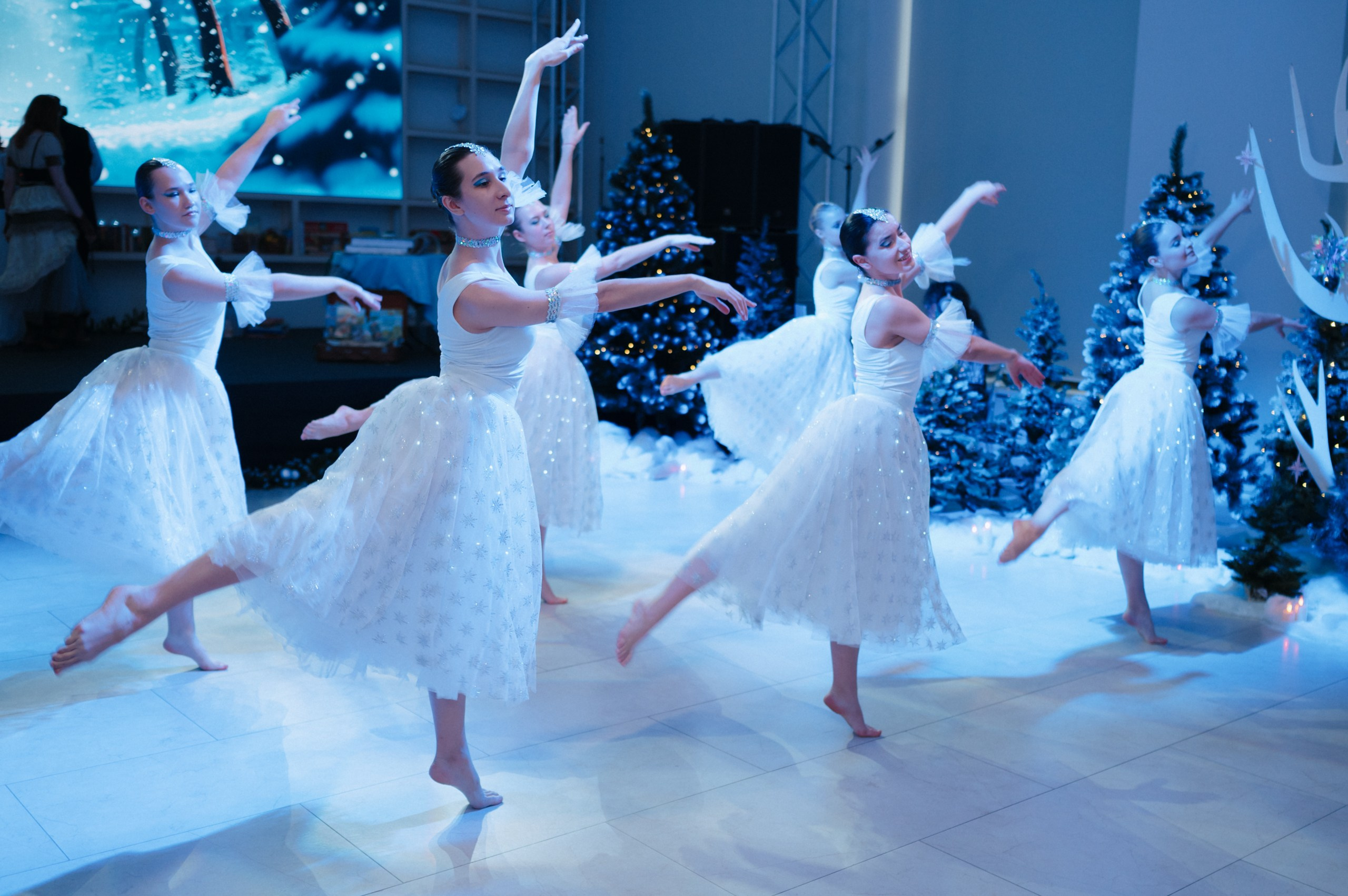 Тайны зимнего леса. Komonev