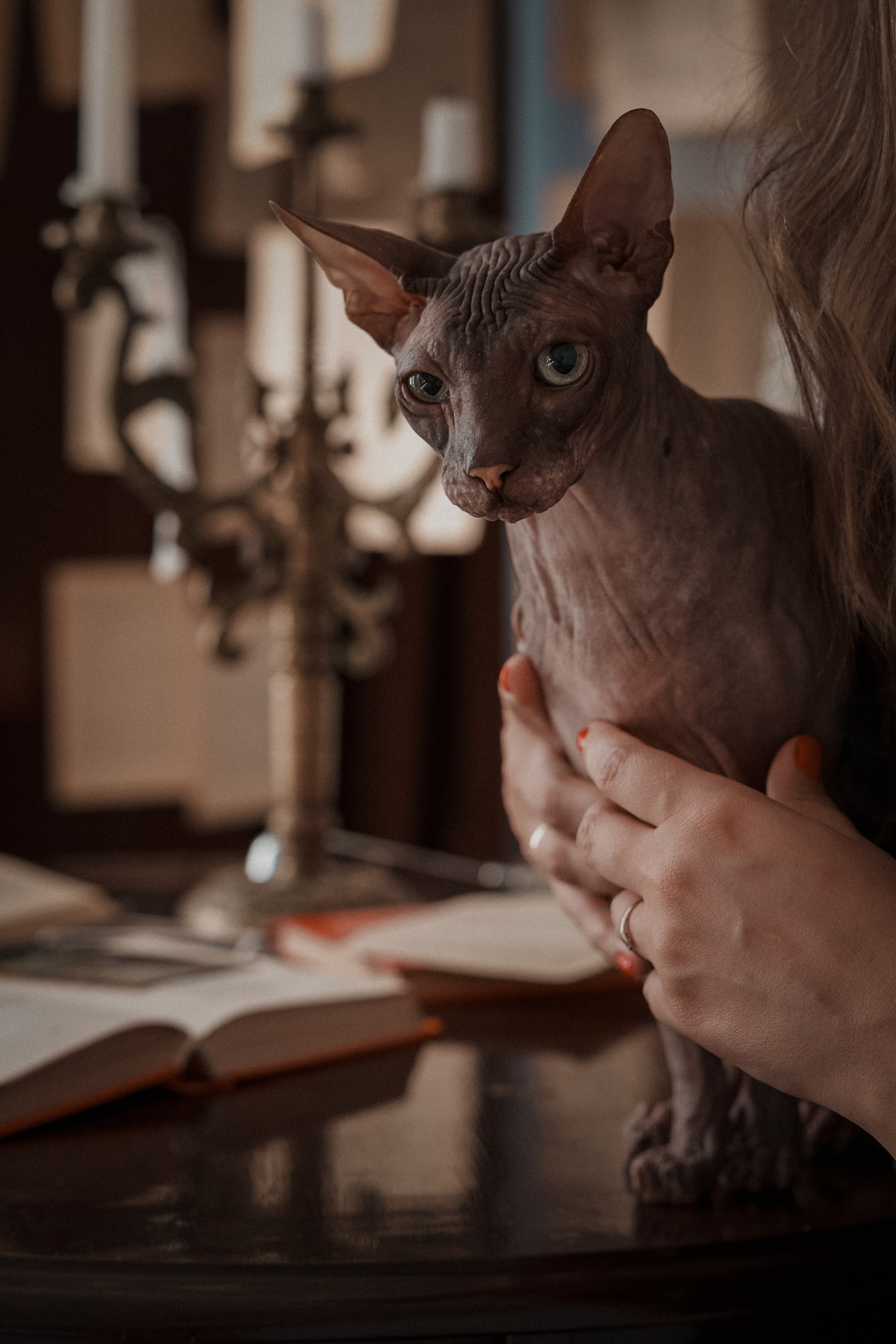 Мария, коты Рамсик и Вася. Фотограф анималист в Казани Алина Сулейманова. Фотограф животных