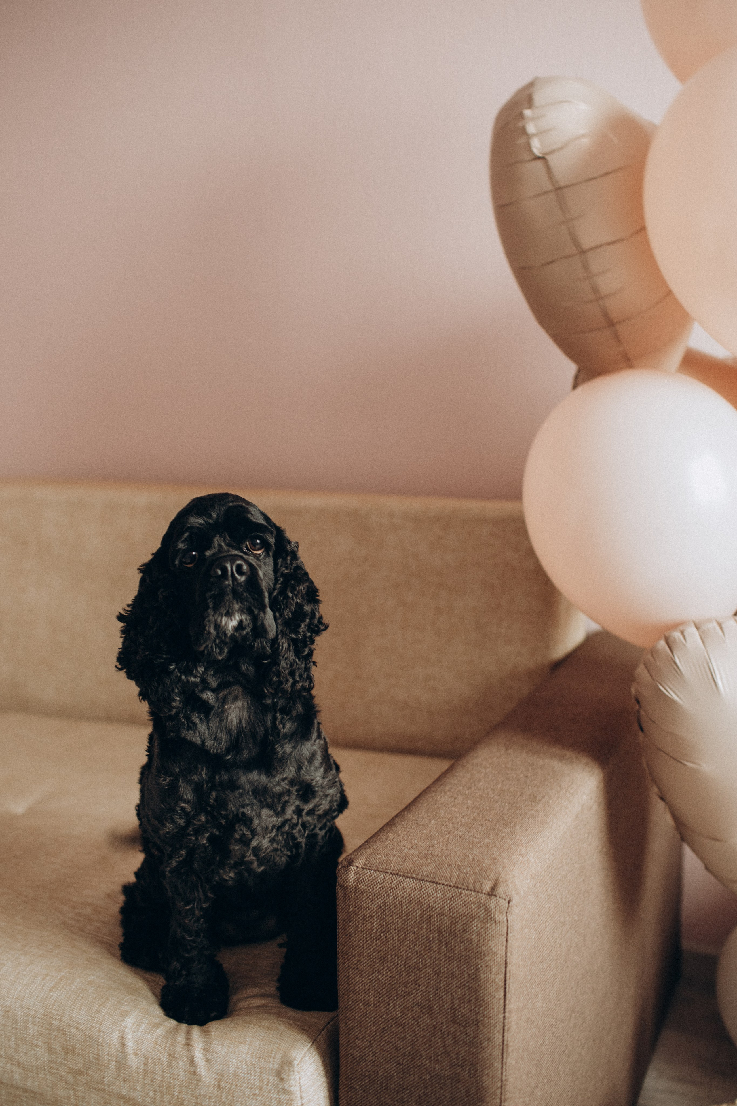 Ане годик!. Семейный фотограф в Челябинске Ксения Зубкова
