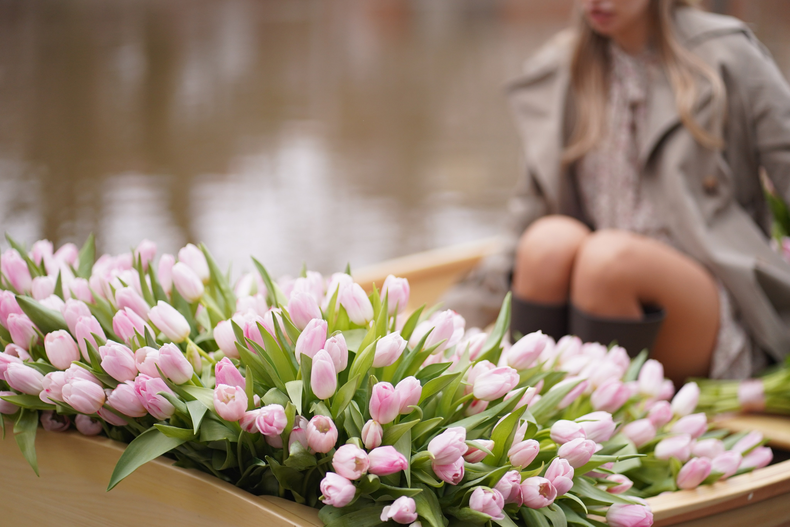 Тюльпаны. Фотограф в Москве и МО