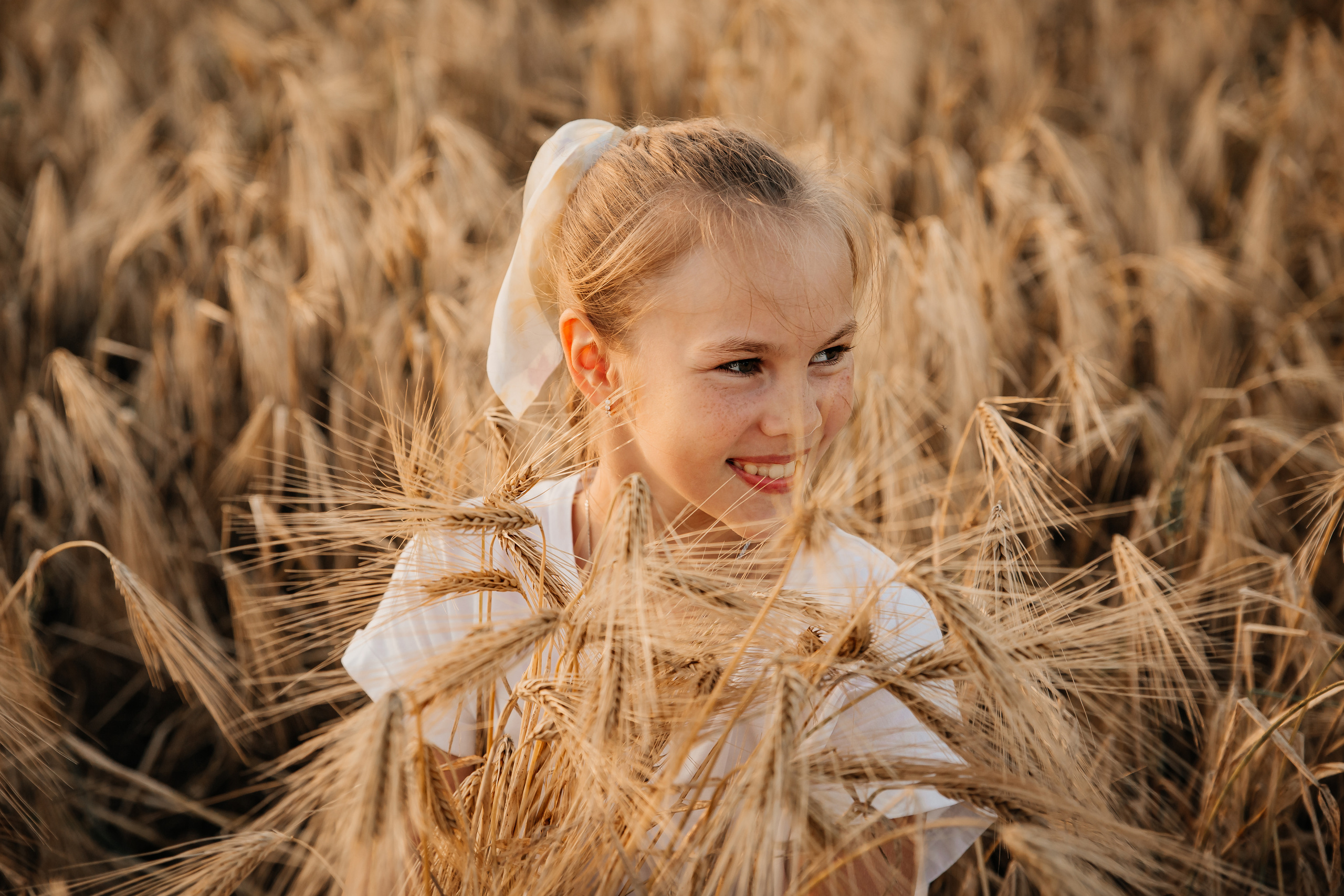 Хлебные поля. Фотограф в Феодосии Наталья Булгакова