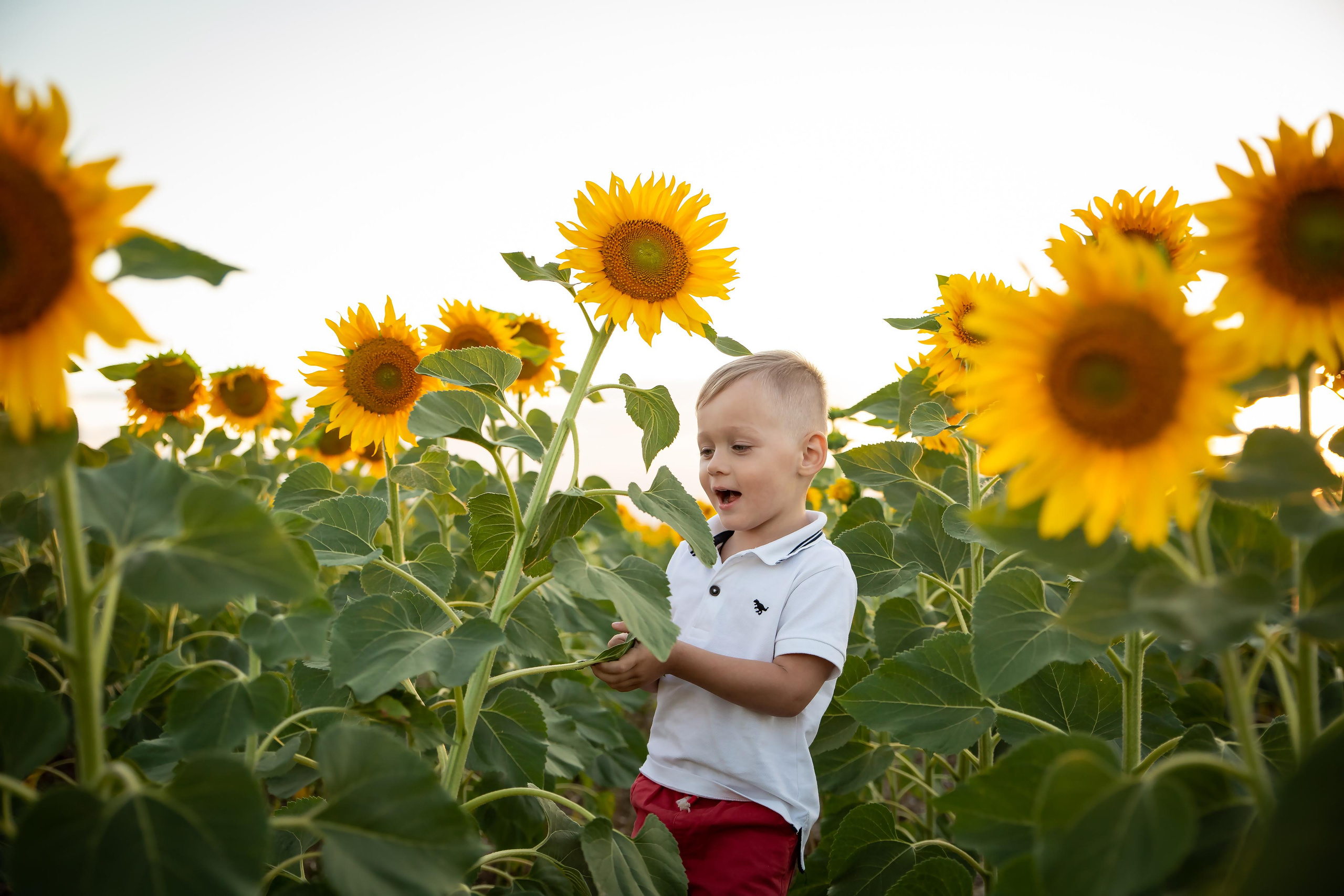 Фотосессия в цветущих полях. Фотограф в Феодосии Наталья Булгакова