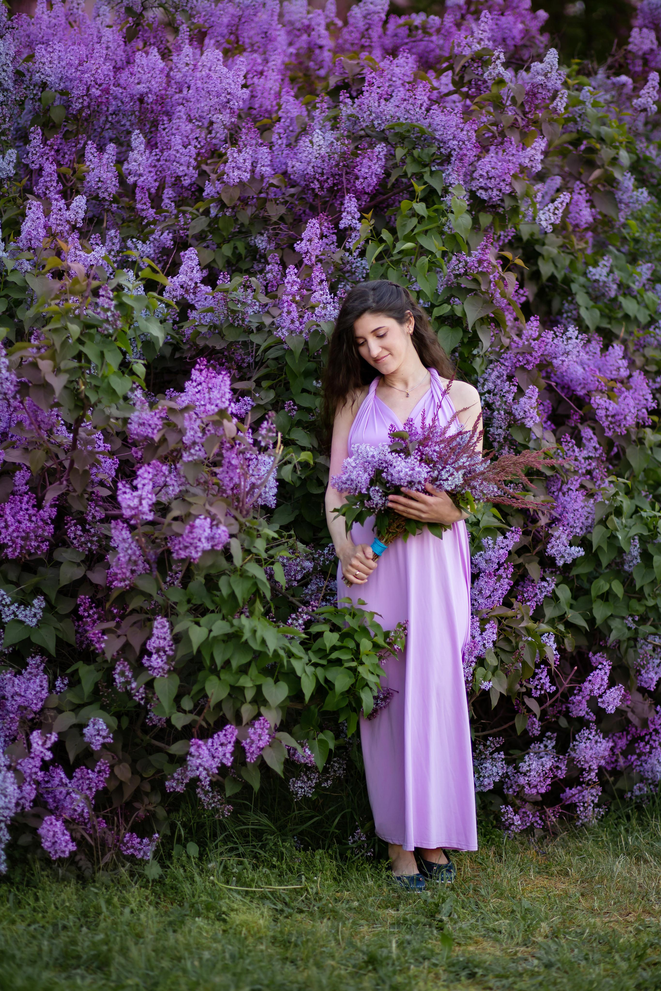 Сирень. Фотограф в Феодосии Наталья Булгакова