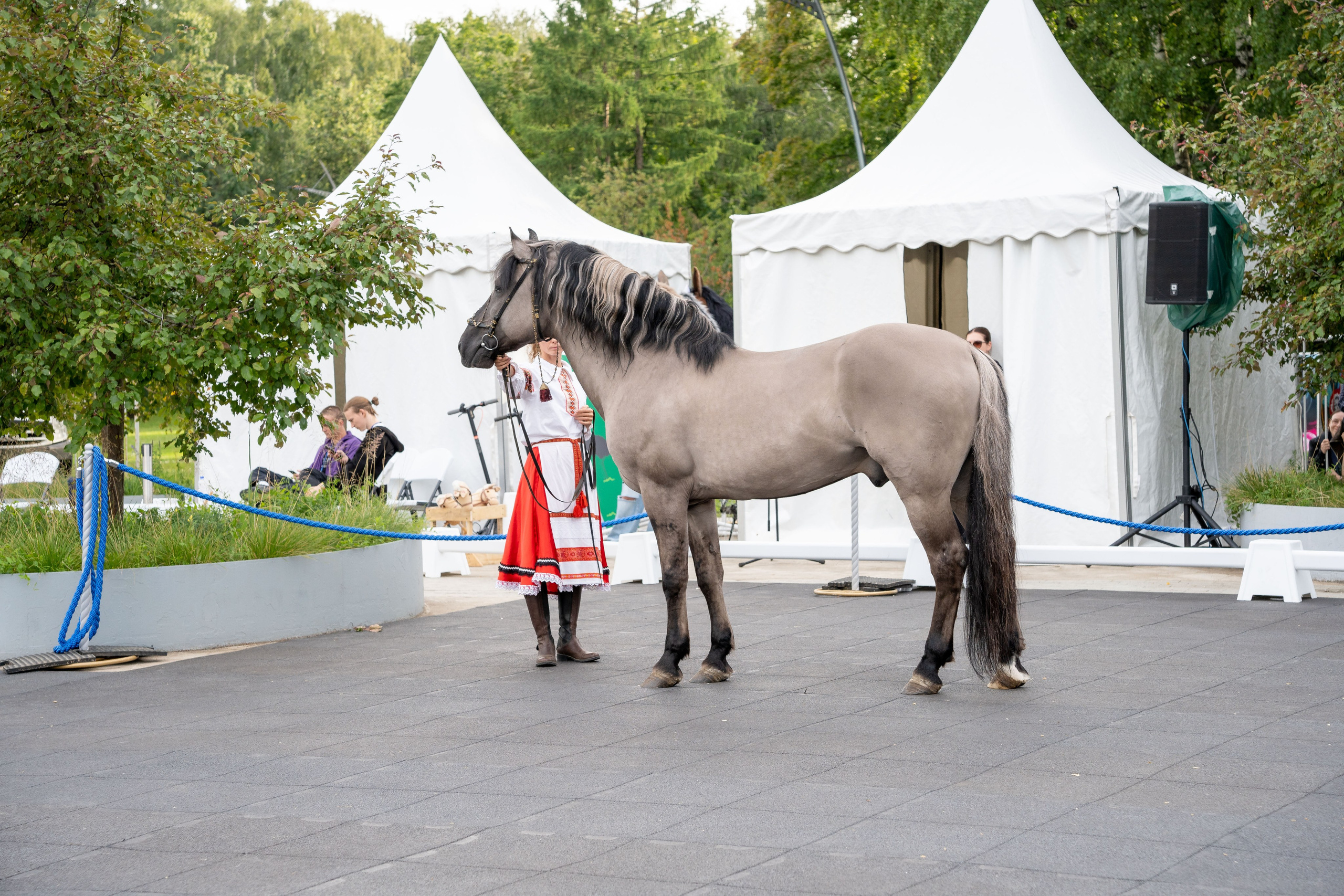 Животные. Фото, видео, монтаж