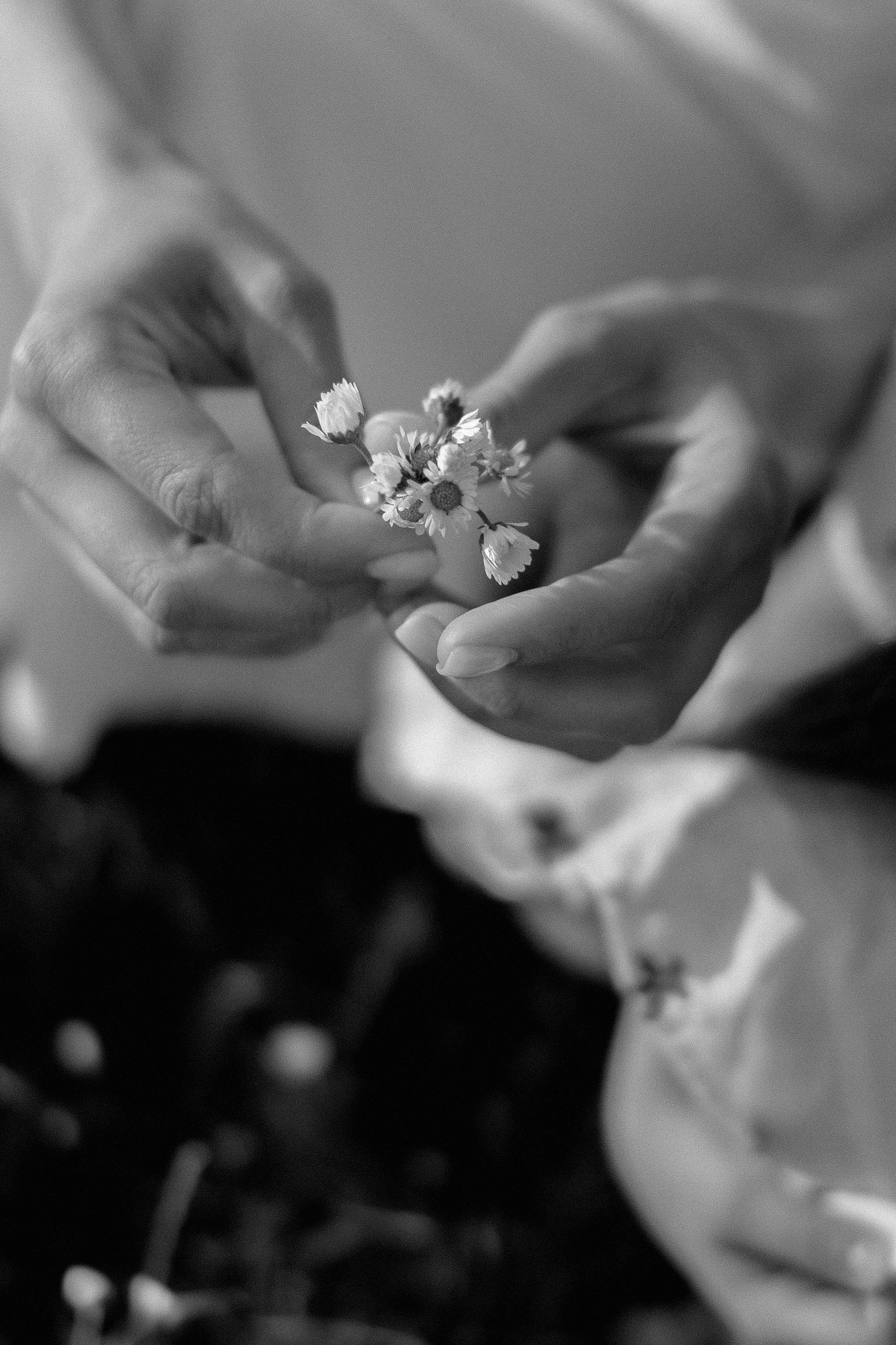 Albina & Amira. Photographer Elizaveta Samokrutova