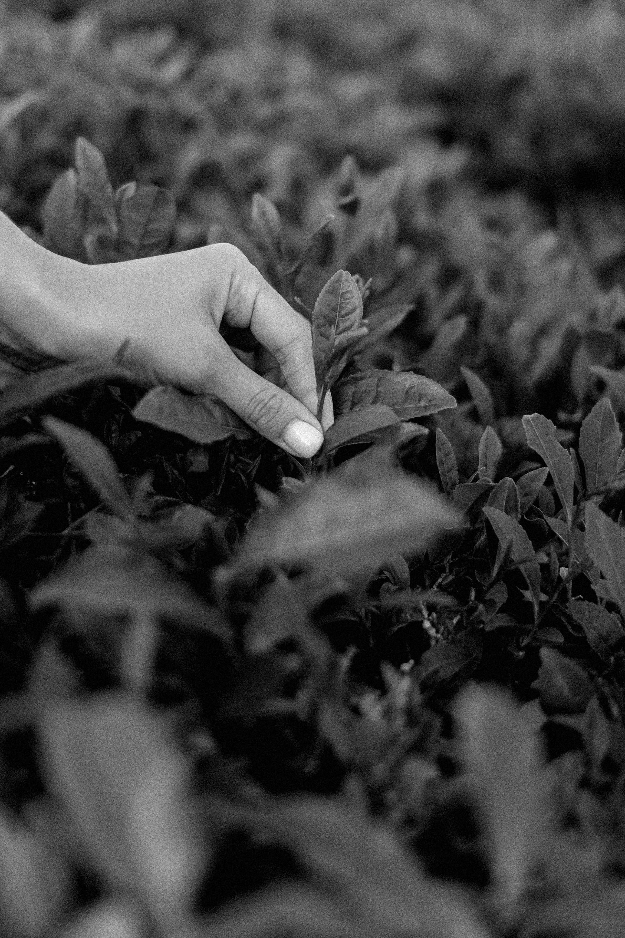 Albina & Amira. Photographer Elizaveta Samokrutova