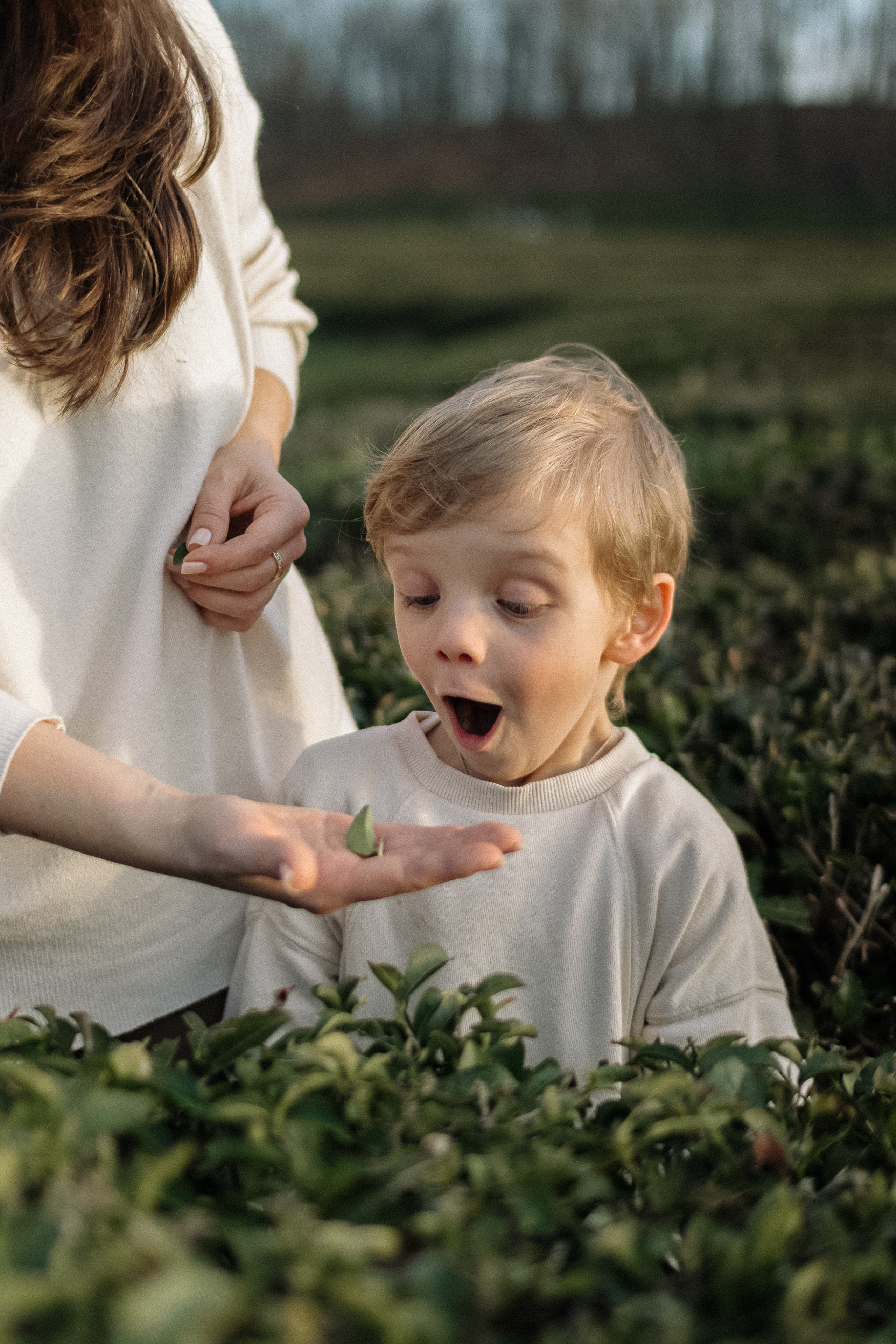 Family at sunset. Photographer Elizaveta Samokrutova