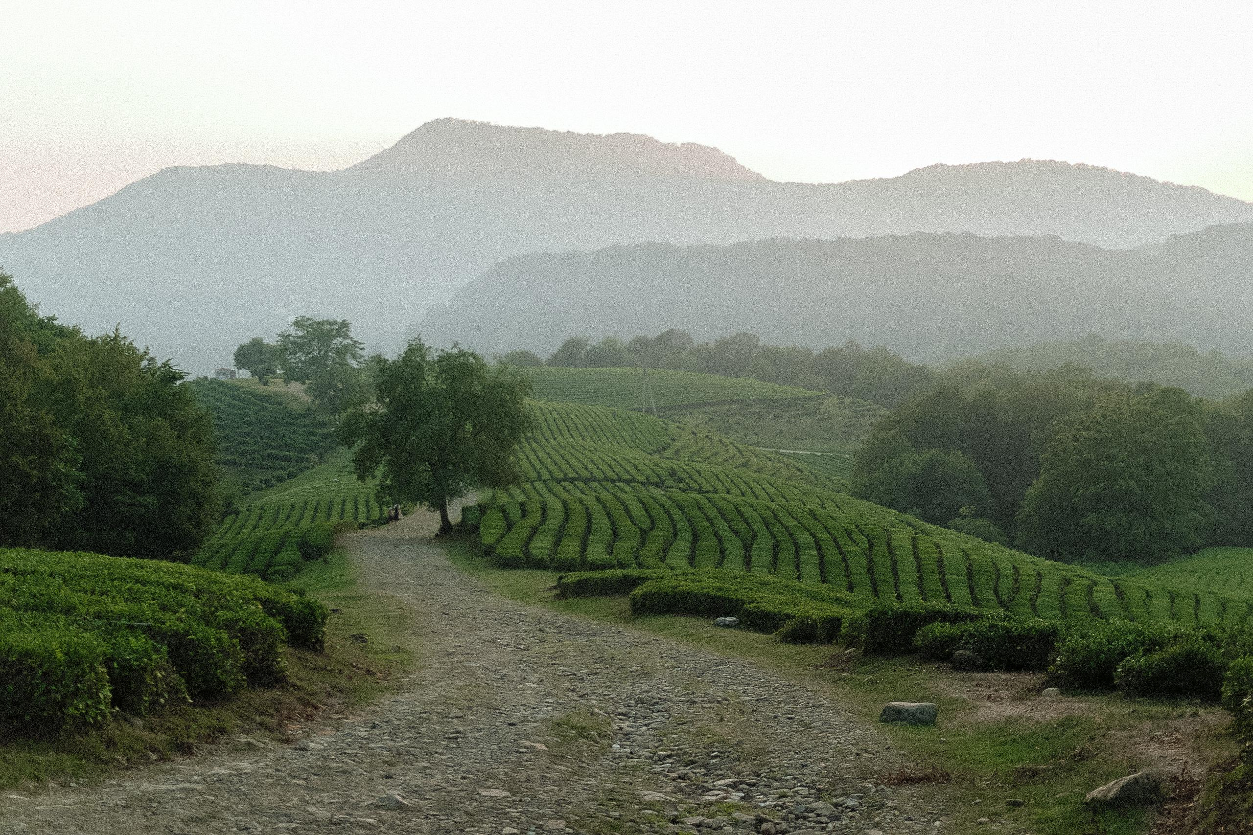 Margo. Photographer Elizaveta Samokrutova