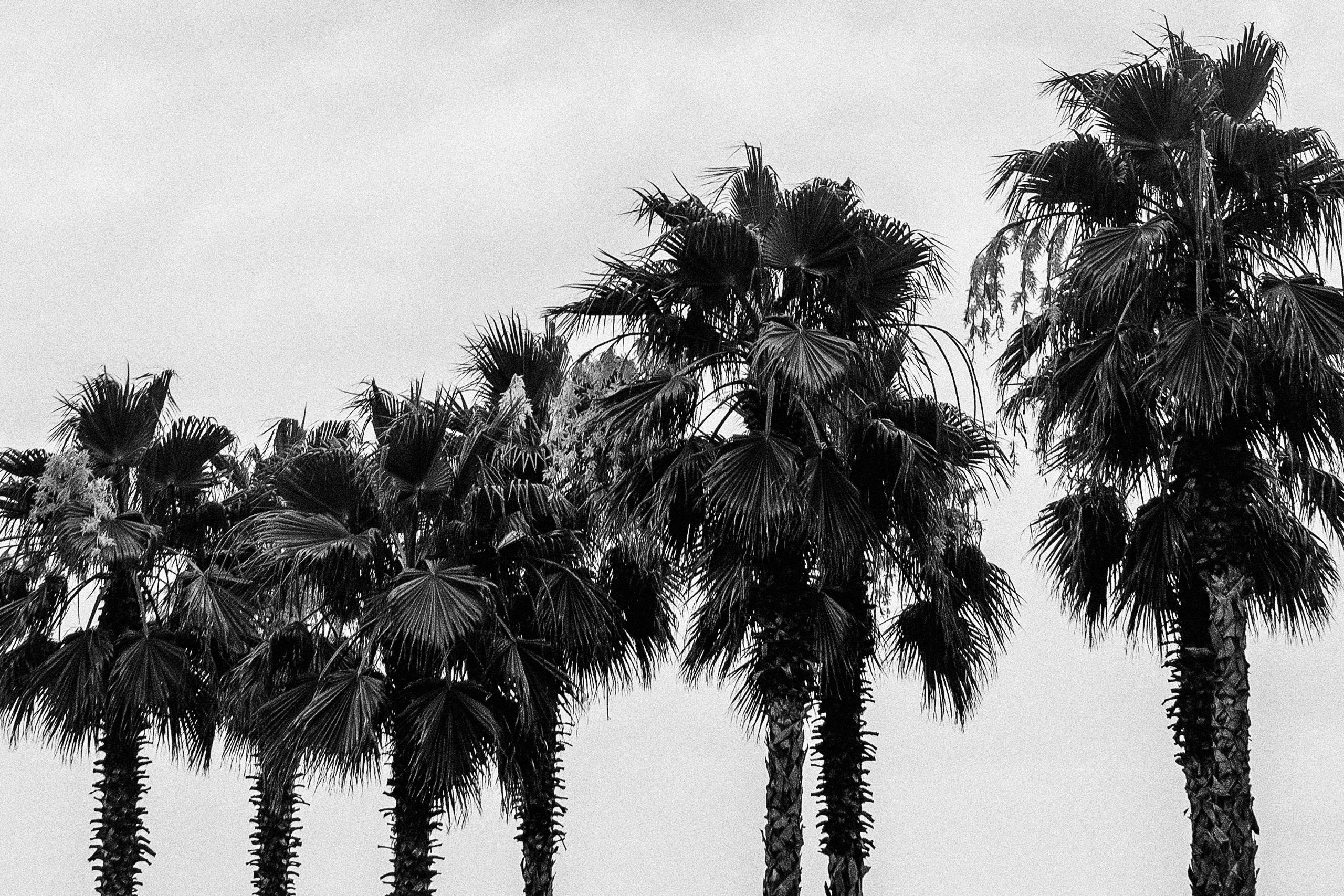 Фотограф Пхукет Елизавета Самокрутова