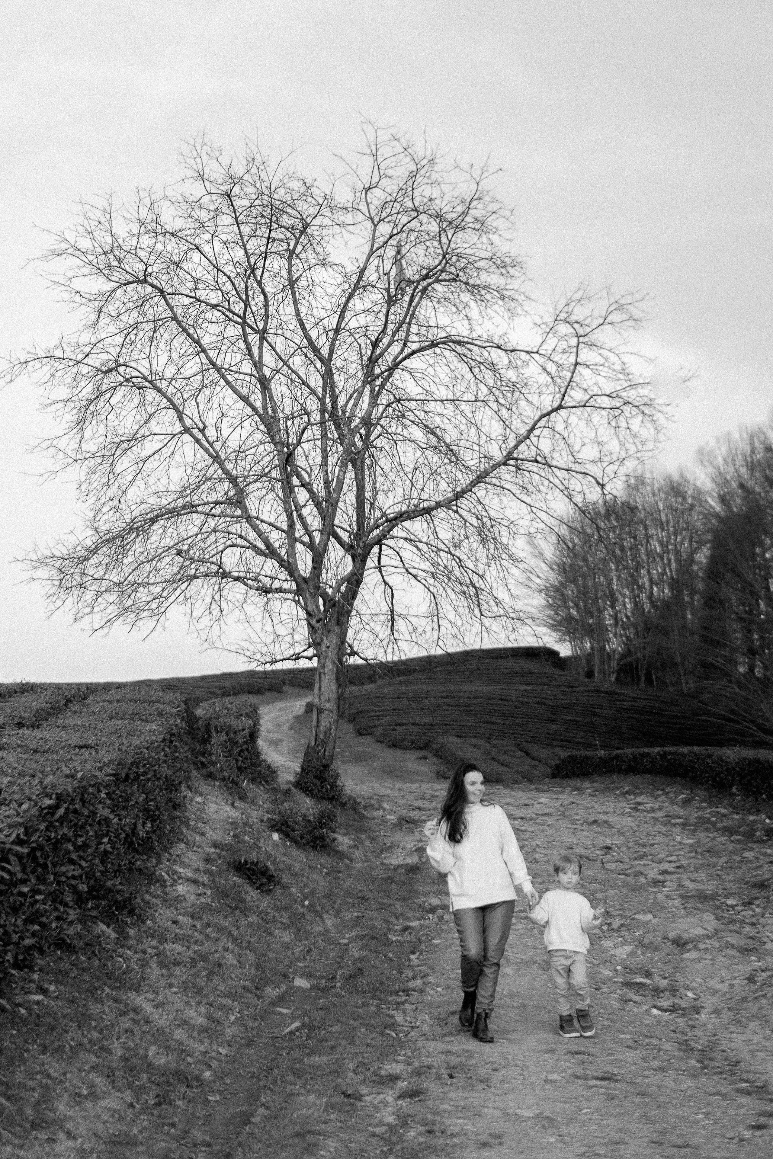 Family at sunset. Photographer Elizaveta Samokrutova