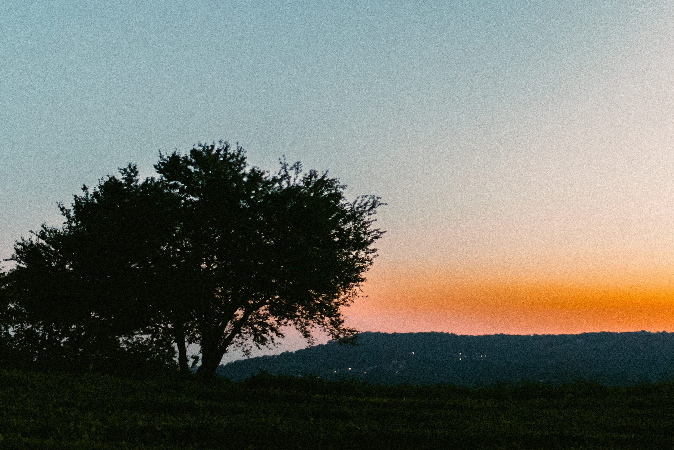 Albina & Amira. Photographer Elizaveta Samokrutova