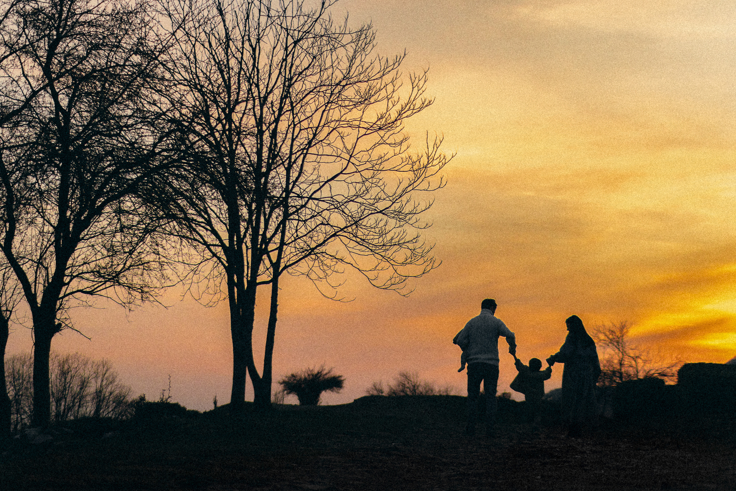 Family at sunset. Photographer Elizaveta Samokrutova