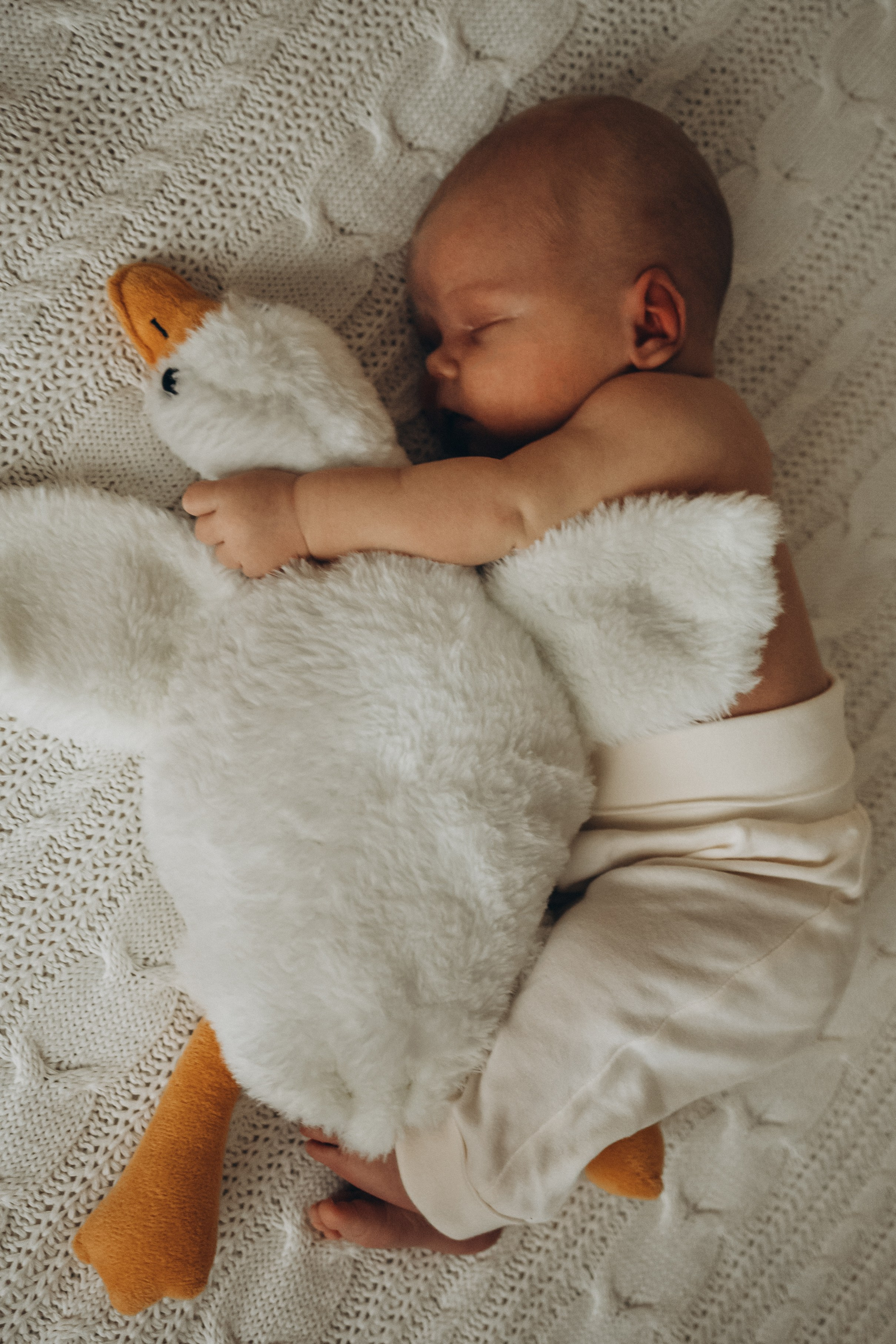 Демид. Гаврилова Настя семейный фотограф lifestyle в Москве