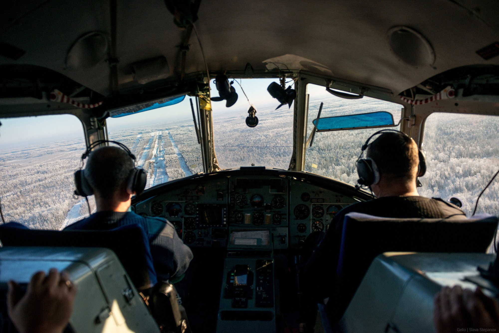 Аваиция. Фотограф Слава Степанов, Gelio