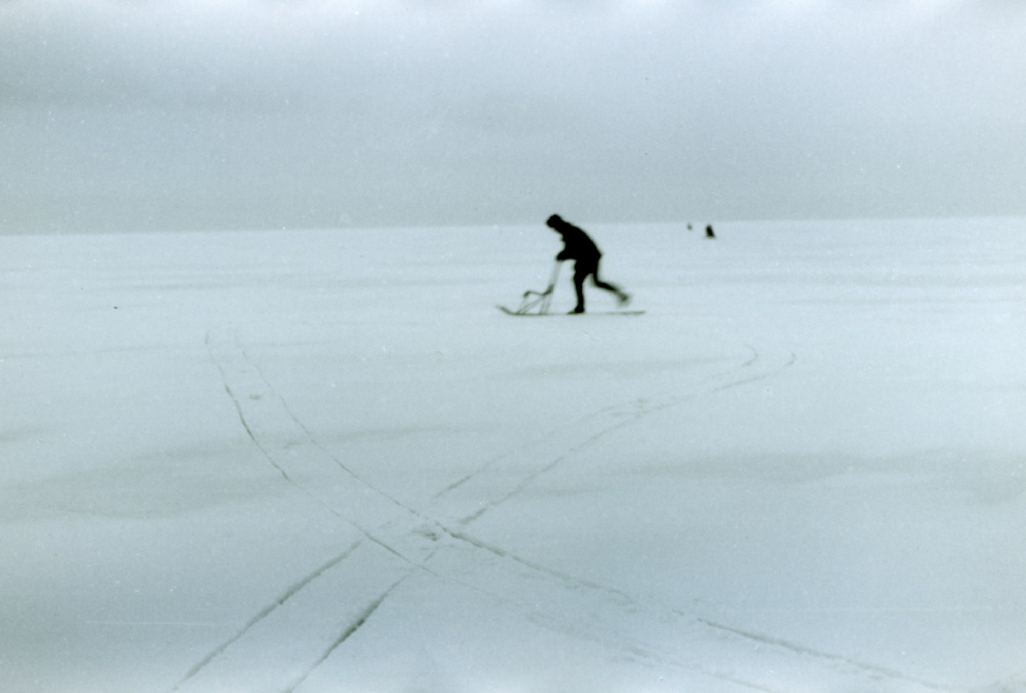 Елена Цихон художник фотографии и мастер фото-ДНК