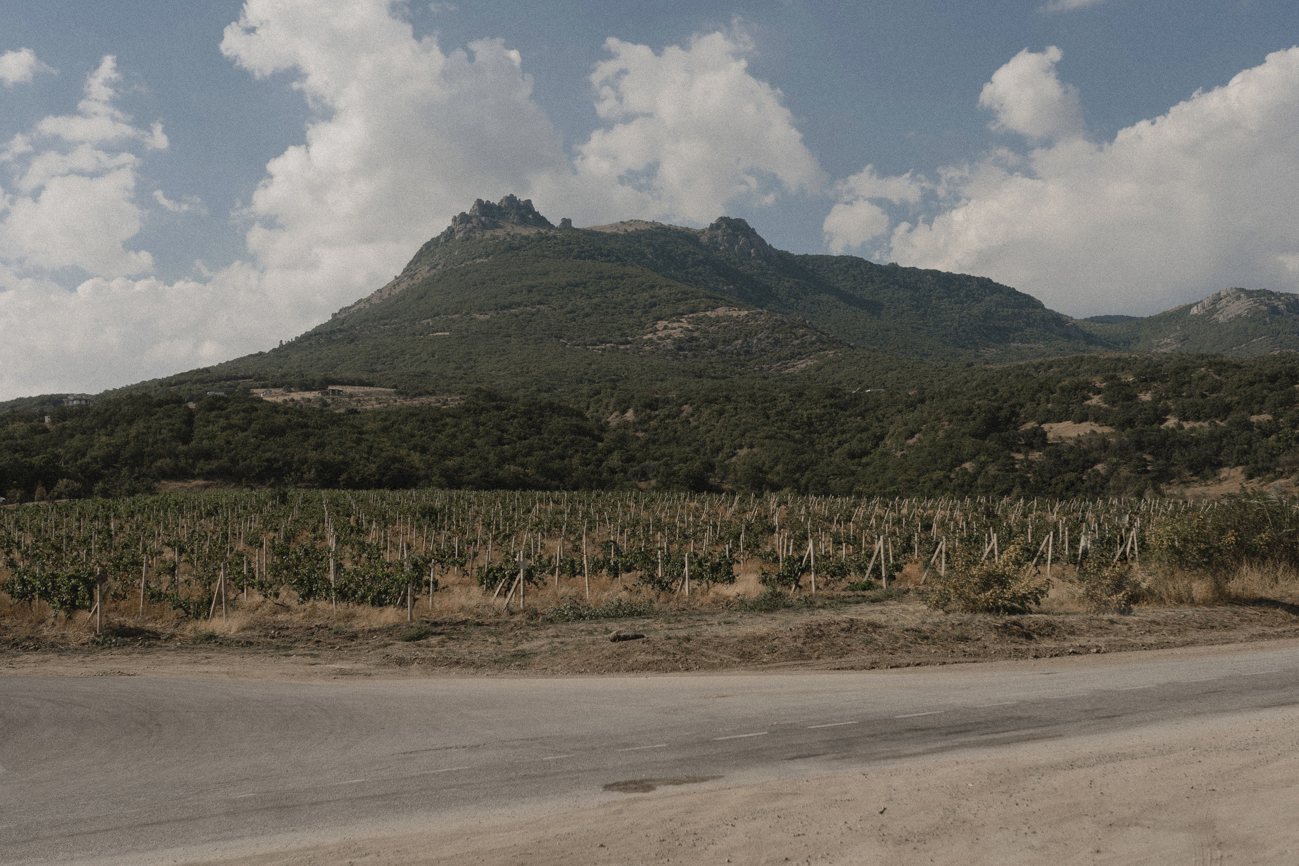 Влад & Настя. Фотограф в Крыму Романенко Даниил