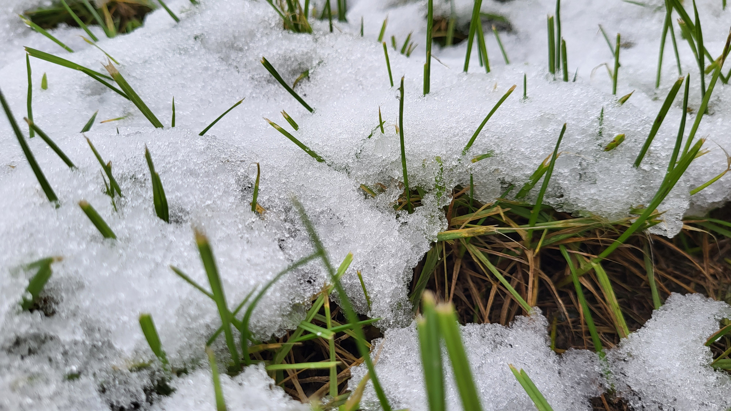 Проект «366»|2024|Фото каждый день. LENA GRACE photographer ||ЛЕНА ГРЭЙС фотограф