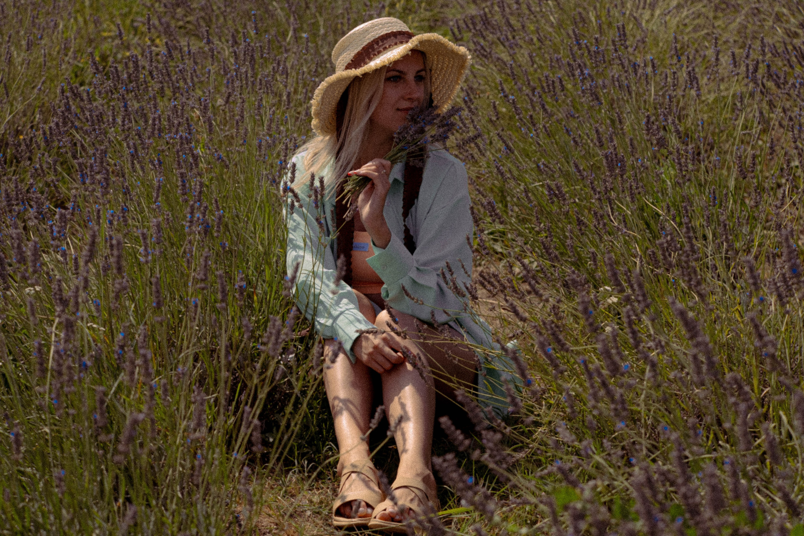 ЛАВАНВОДОВОЕ ПОЛЕ. Профессиональный фотограф, Санкт-Петербург — Виктория Богомолова