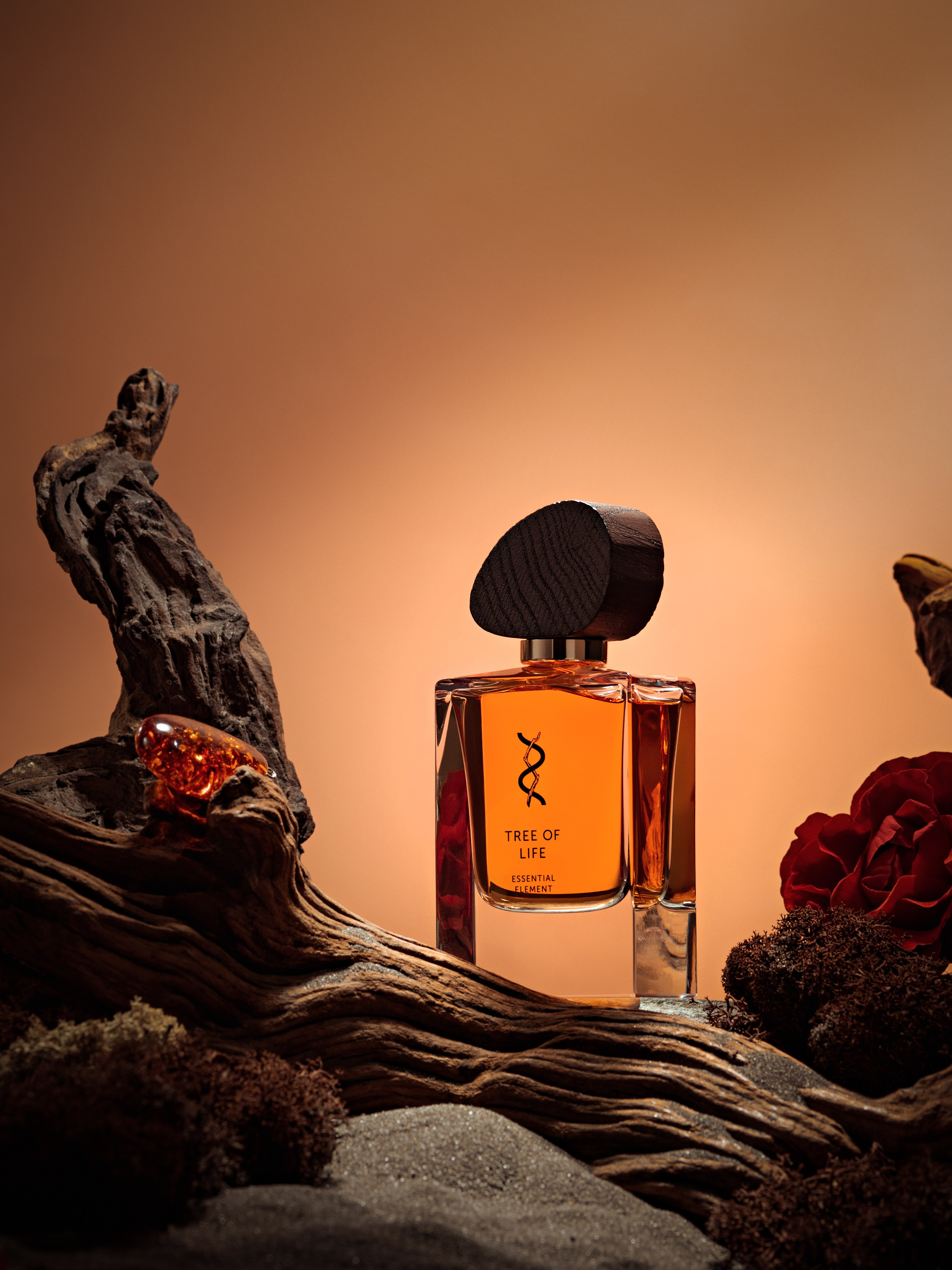 BROCARD GROUP. Асель Рембекова