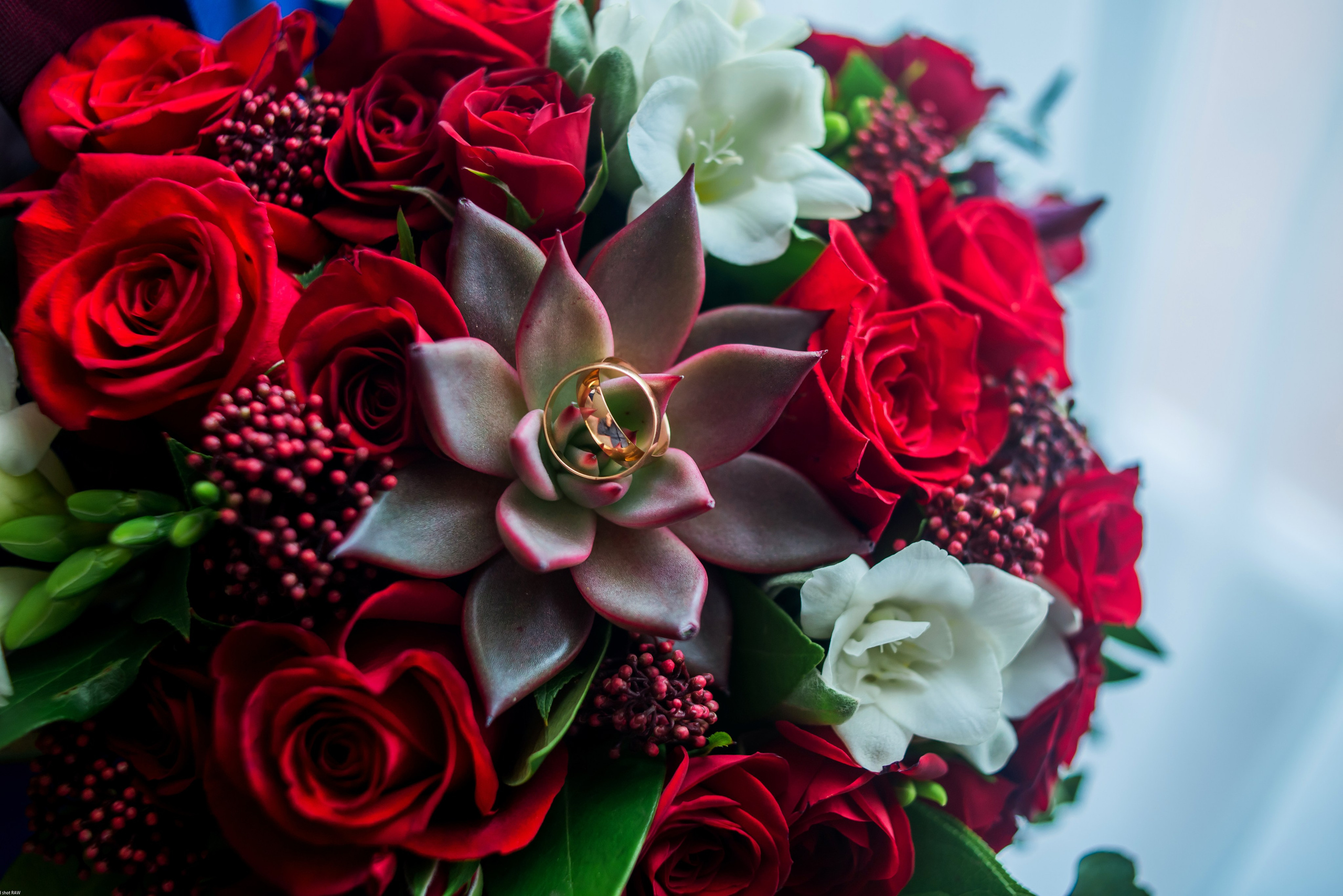 Александр и Мария. Свадебный фотограф в Рязани Вагнер Владимир