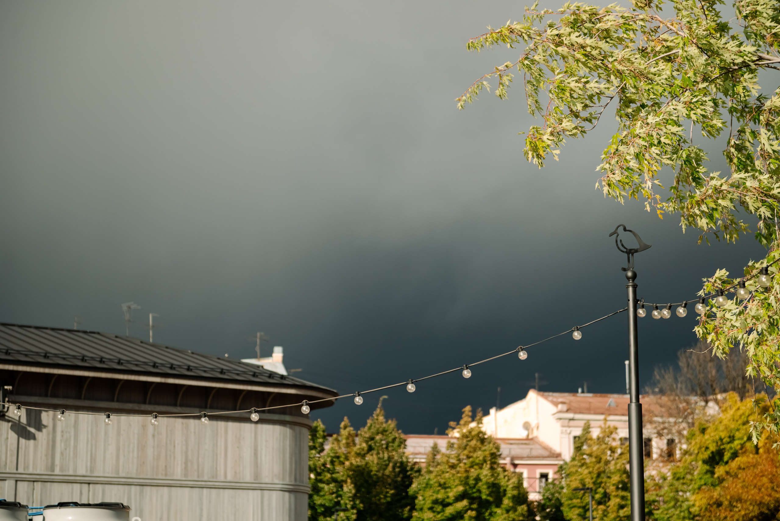 Осенняя фотосессия в Питере Новая Голландия. Свадебный и сеейный фотограф в Санкт-Петербурге Елена Худякова