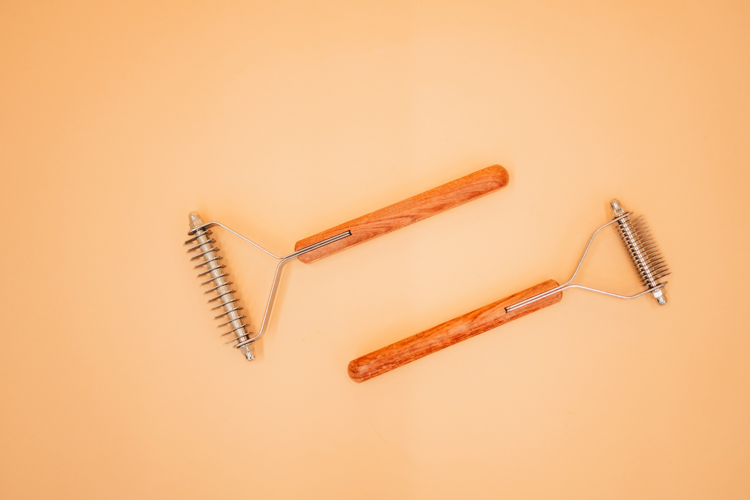 Груминг — салон. Фотограф анималист Осипчикова Мария